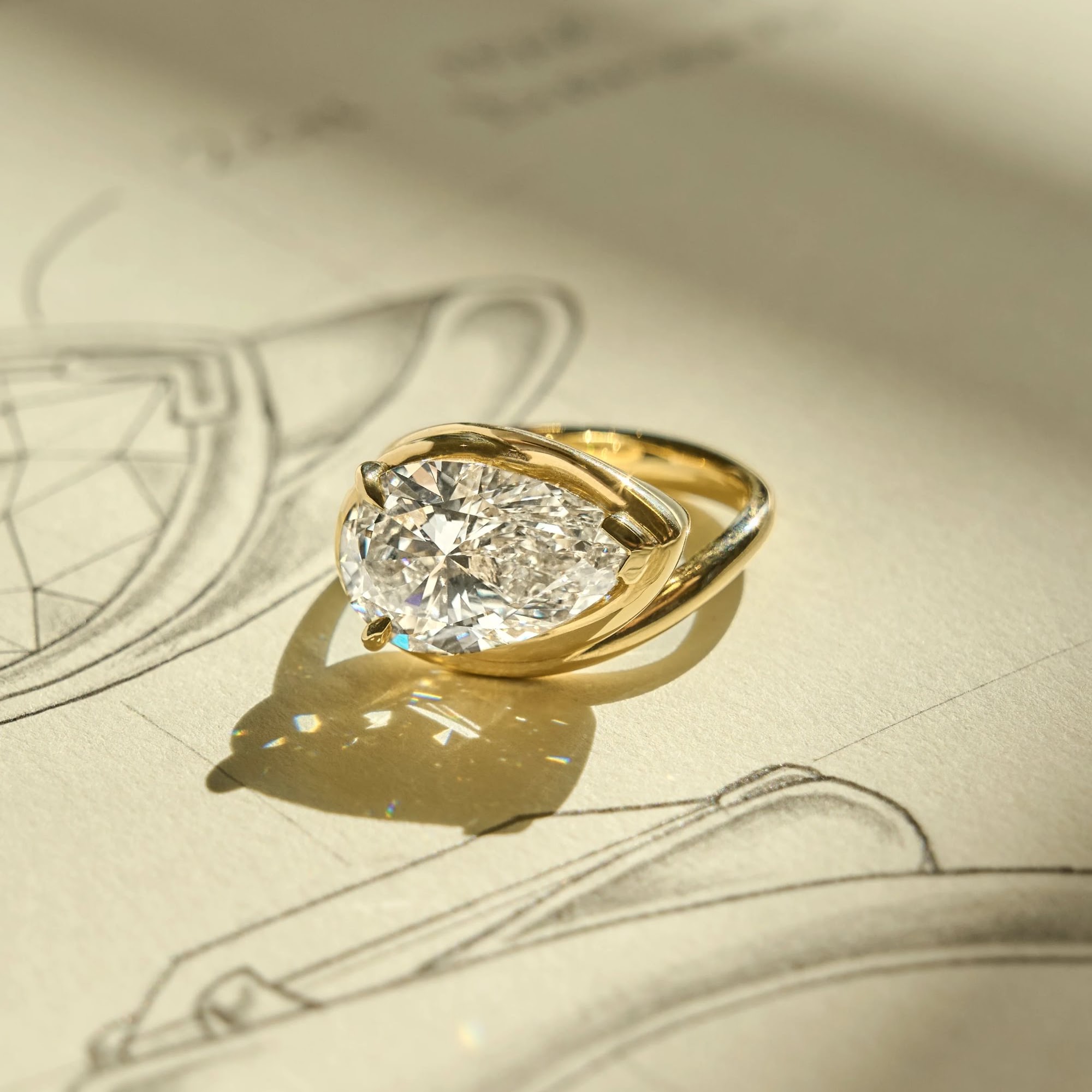 Frank Darling San Francisco