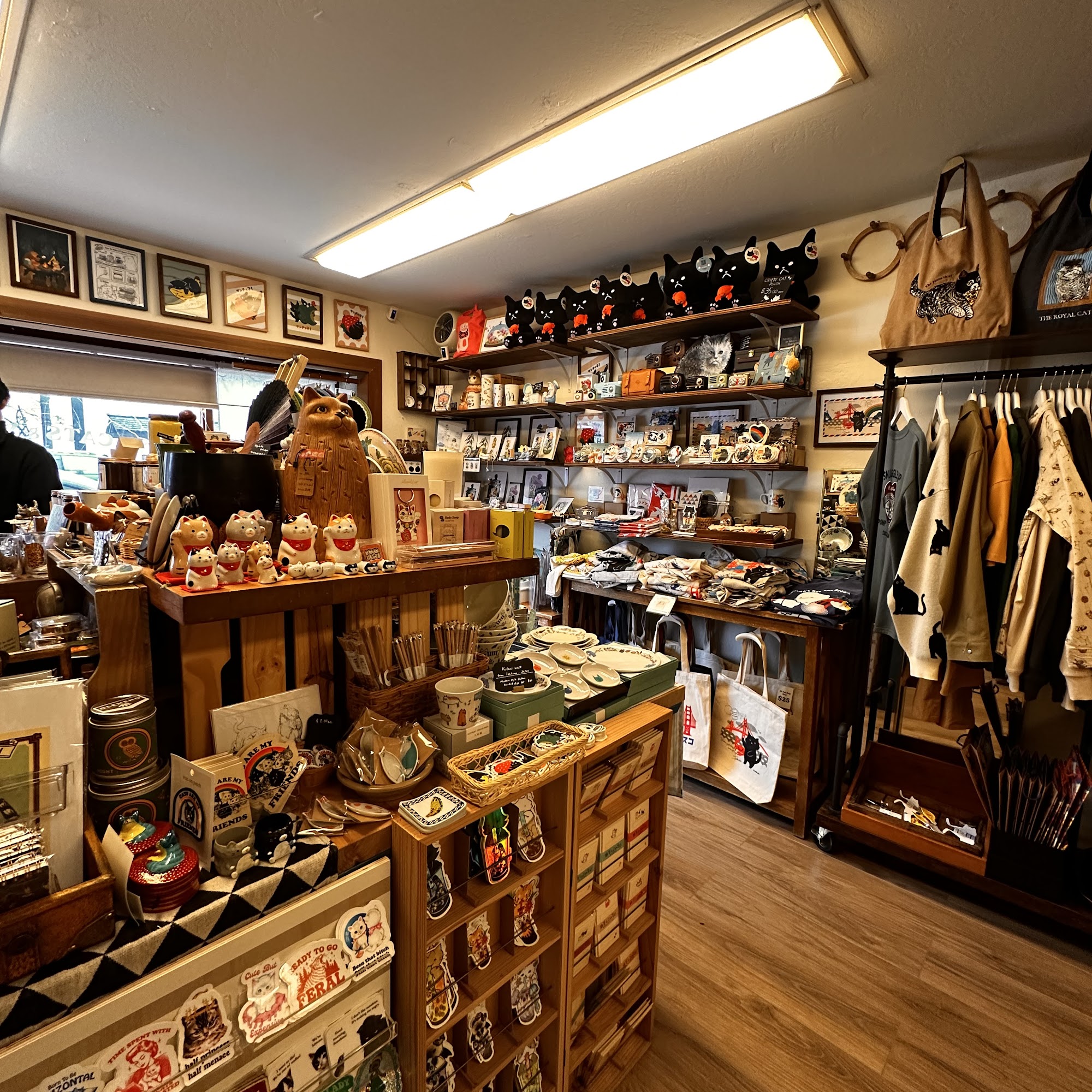 FOG CATS & YANCHAKO STORE