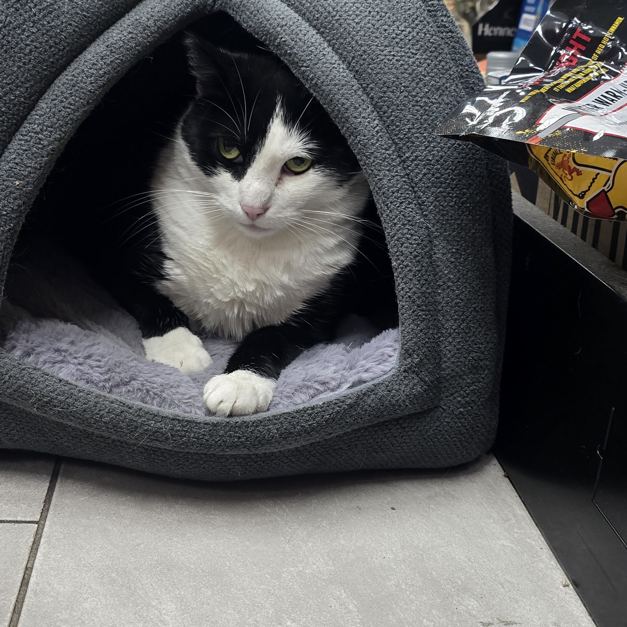 J Mart and Liquor 2 San Francisco