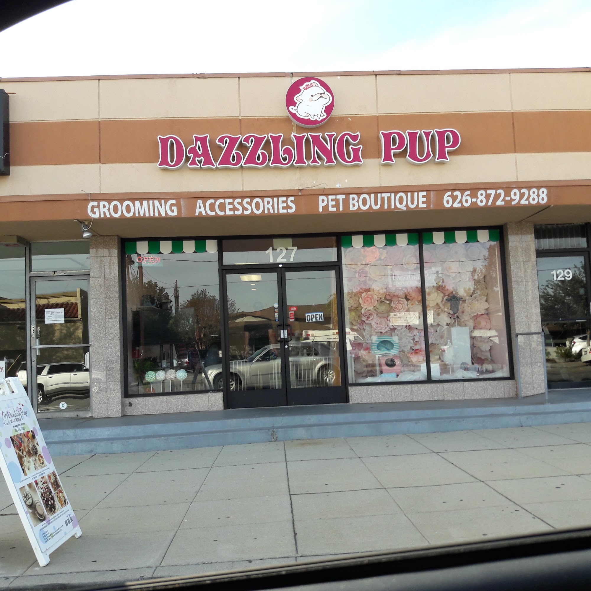 Dazzling pup San Gabriel