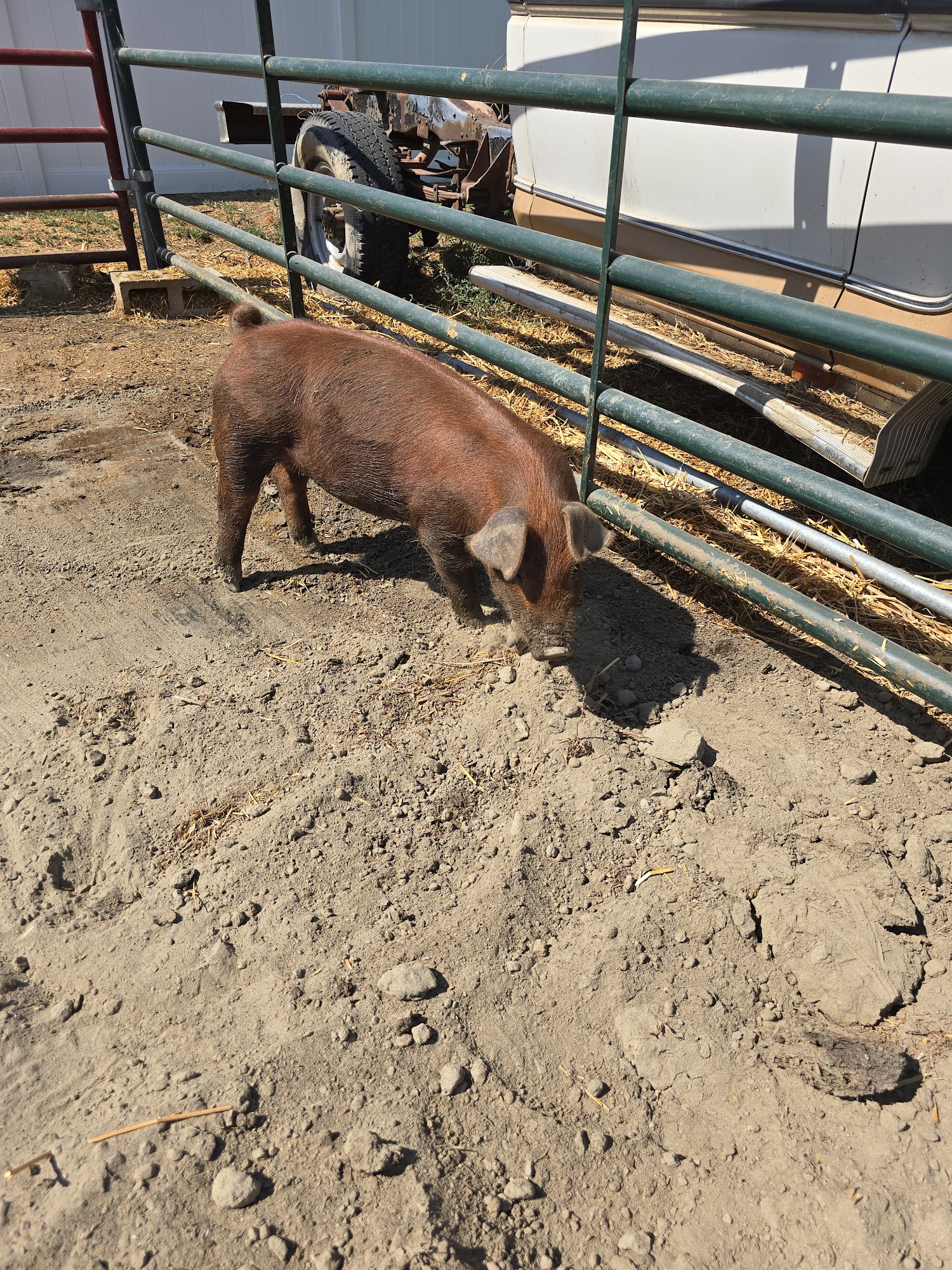 Cliff's Meats San Jacinto