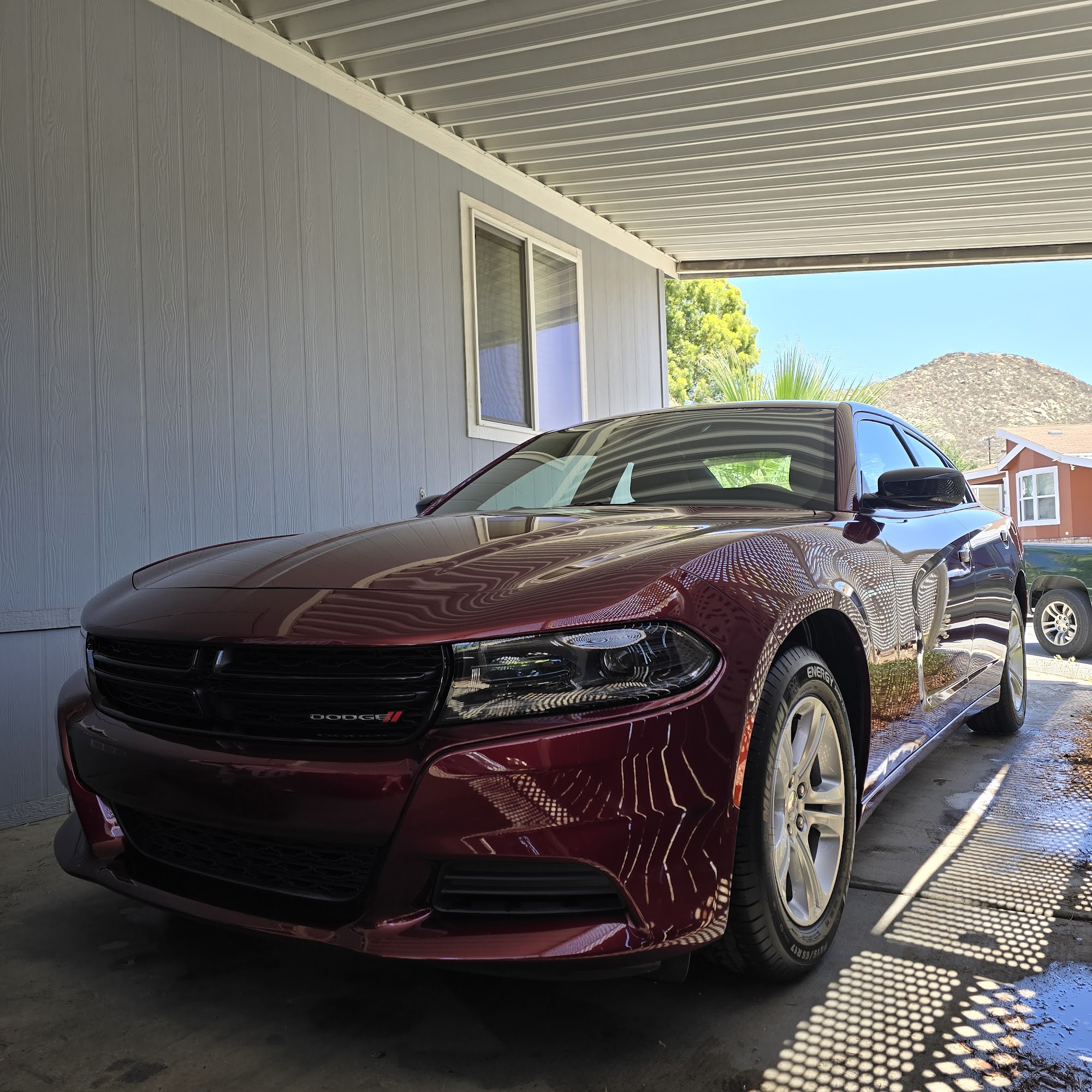 All-City Detail - Ceramic Coating - Paint Correction