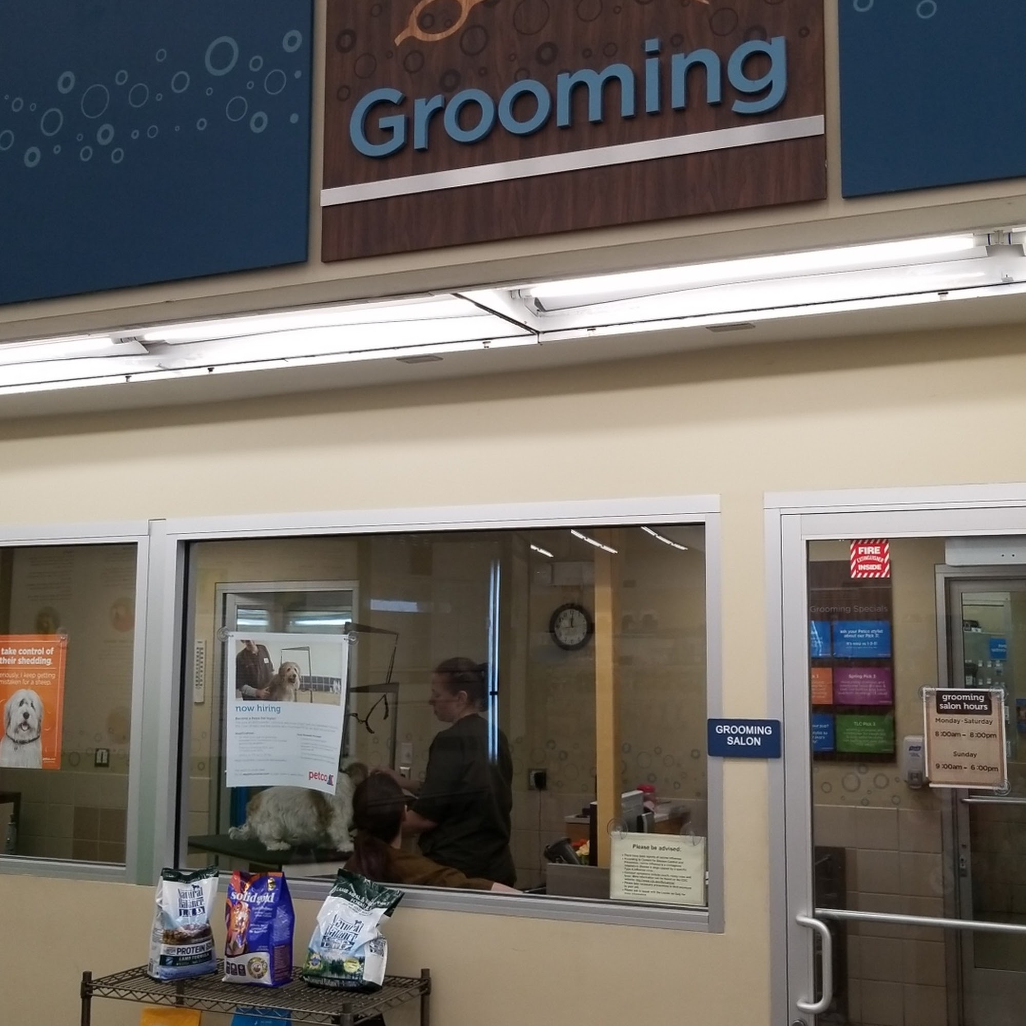 Petco Dog Training San Jose