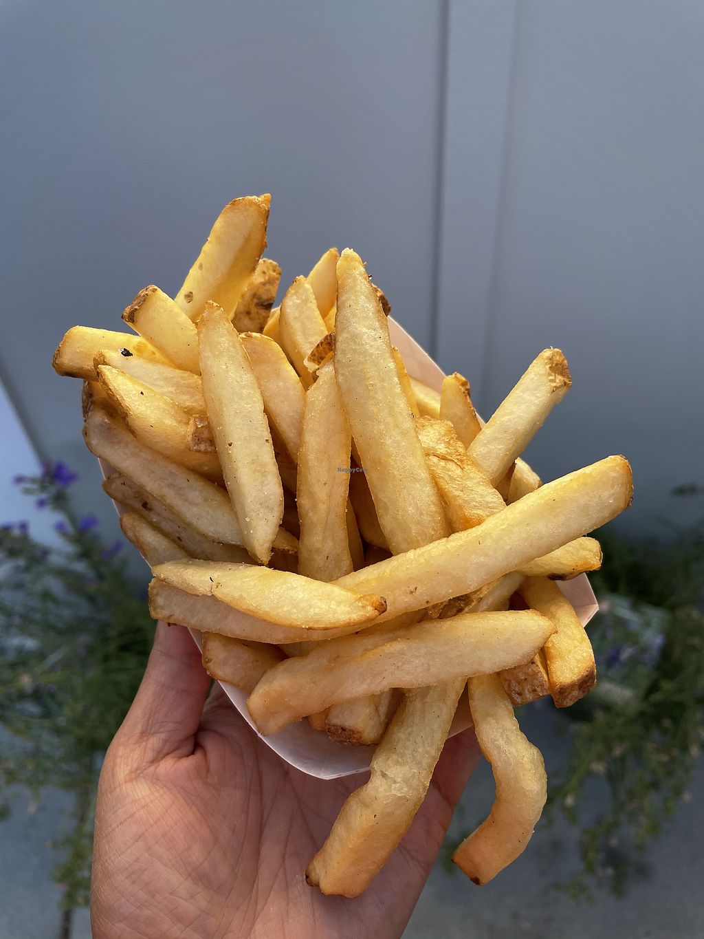 Photo credit: happycow