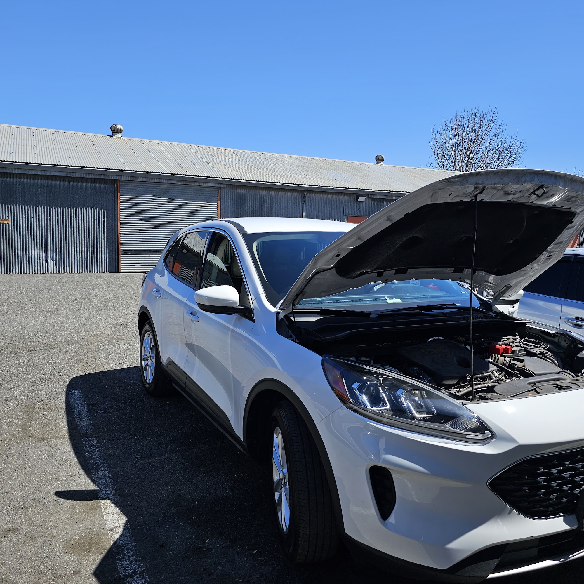 Cabito auto repair