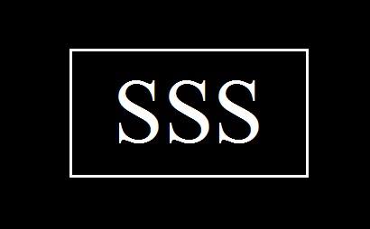 Stevens, Sloan & Shah CPAs