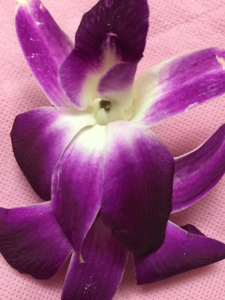 A Younger Look Weight Loss, Laser & Wellness Center: James Andrews, MD