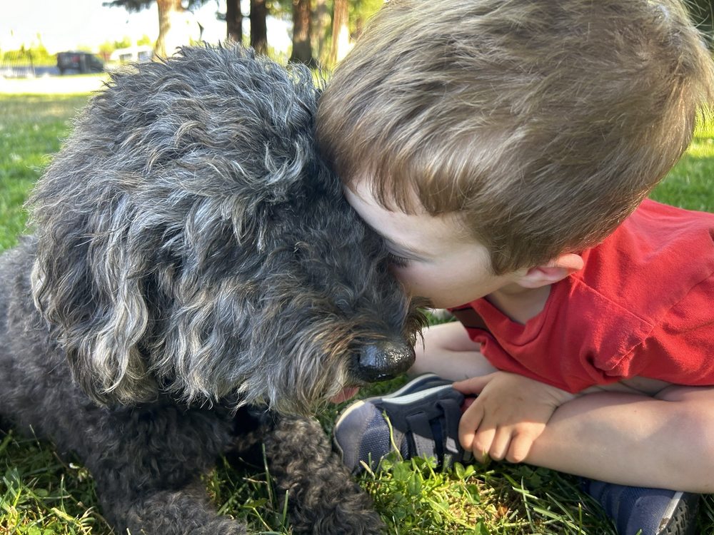 Photo credit: 