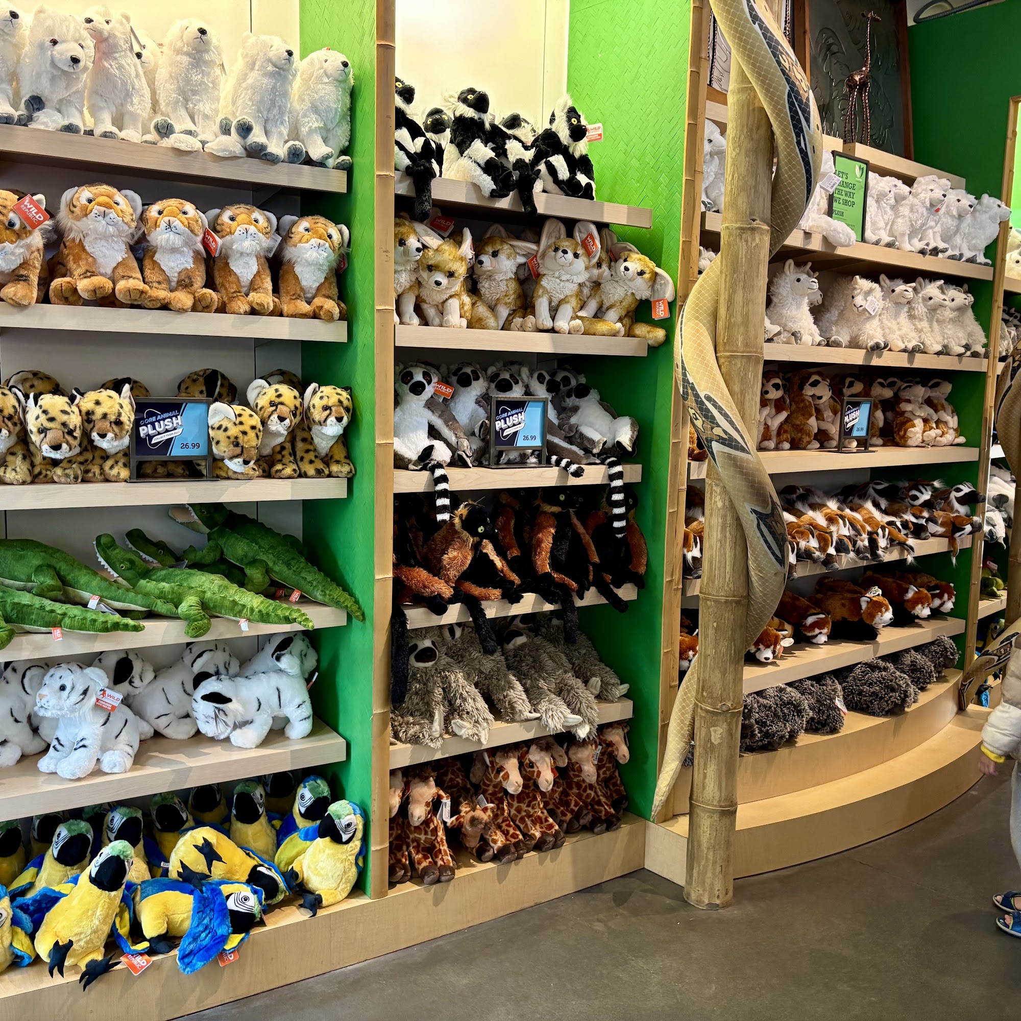 Explore & More Store San Jose