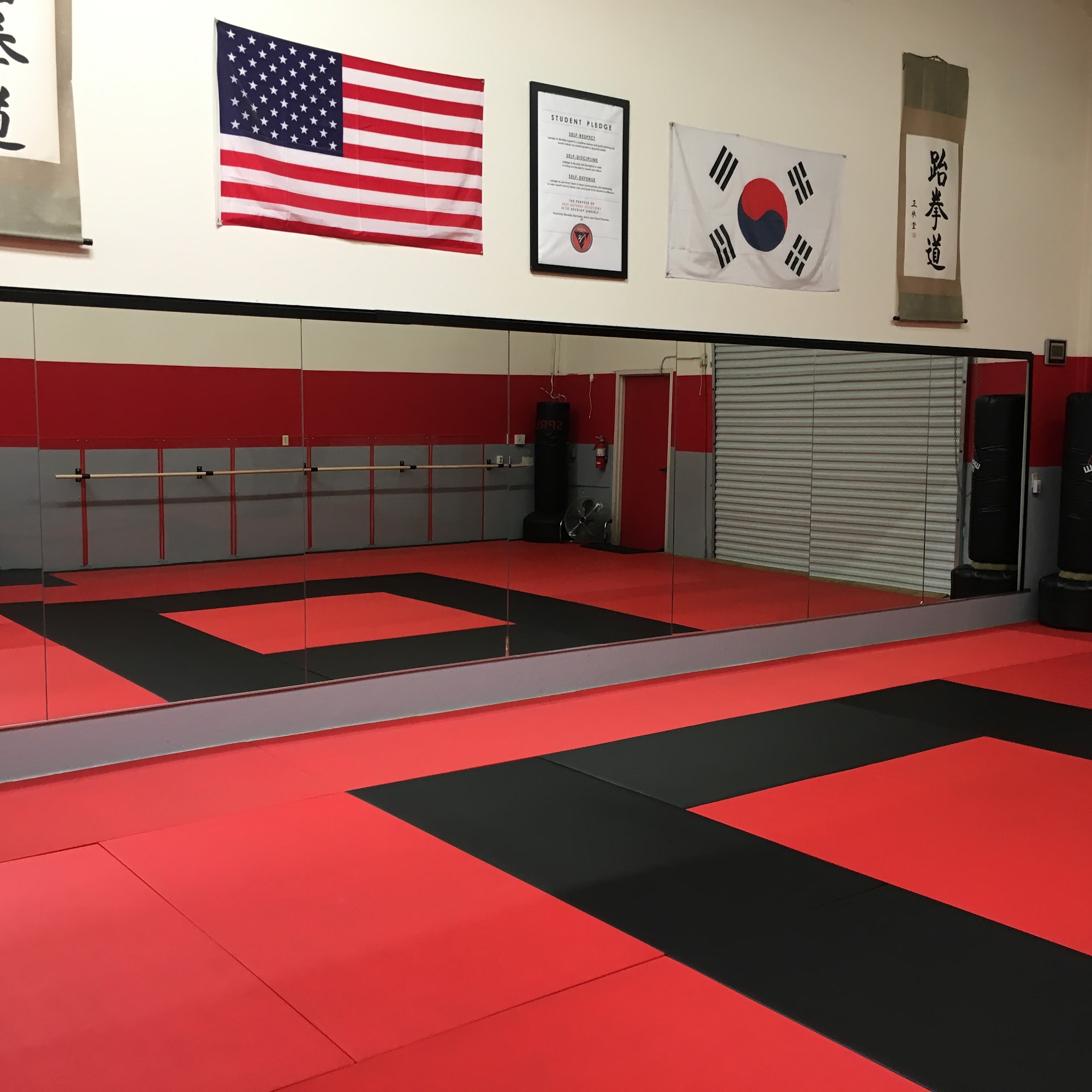 Self-Defense Solutions