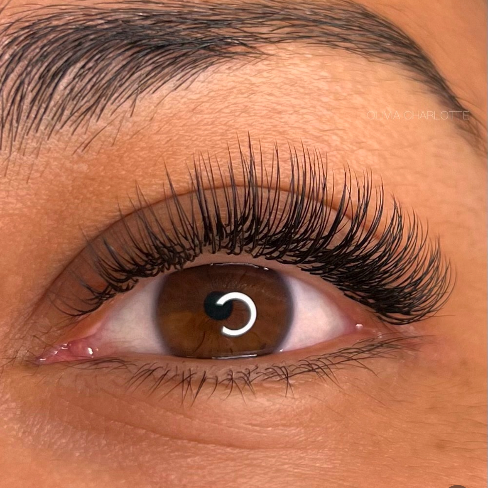 BAE LASH PRO 5533 Snell Ave #201, San Jose California 95123