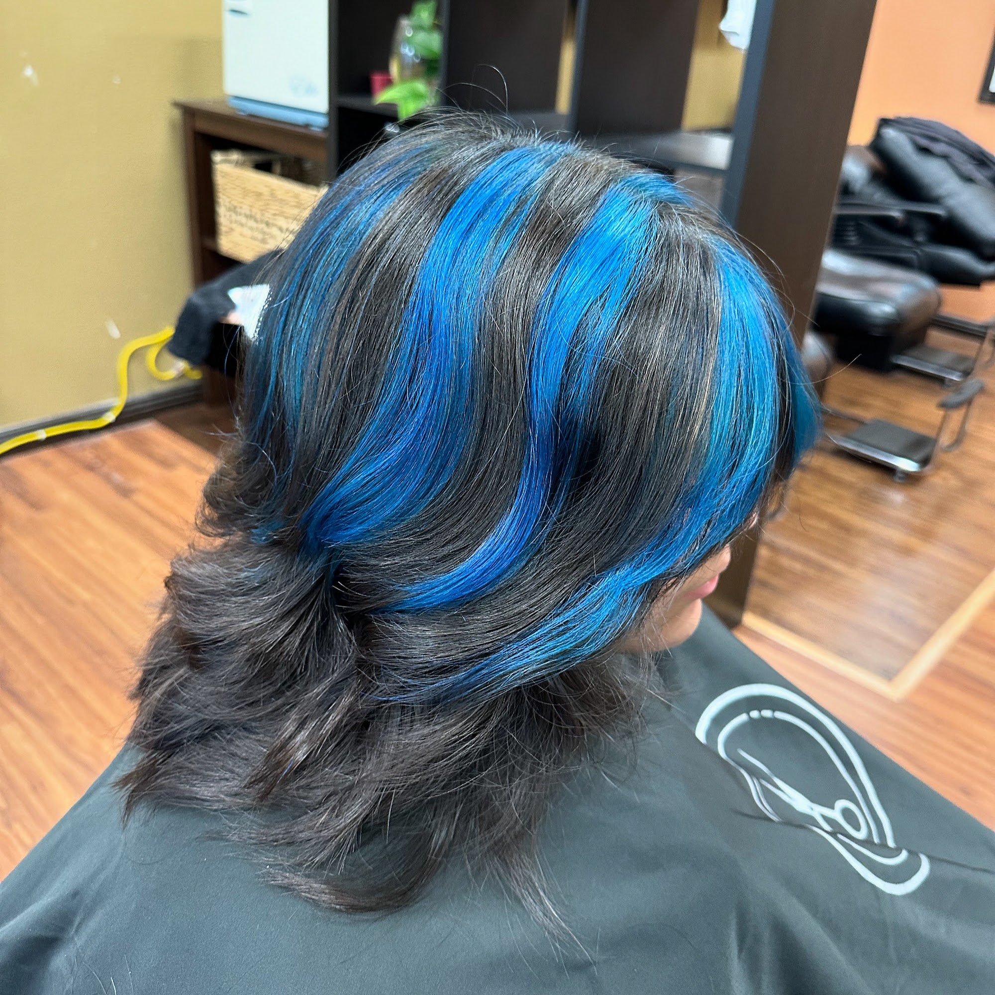 Holly Beauty Barber 1375 Blossom Hill Rd #56, San Jose California 95118