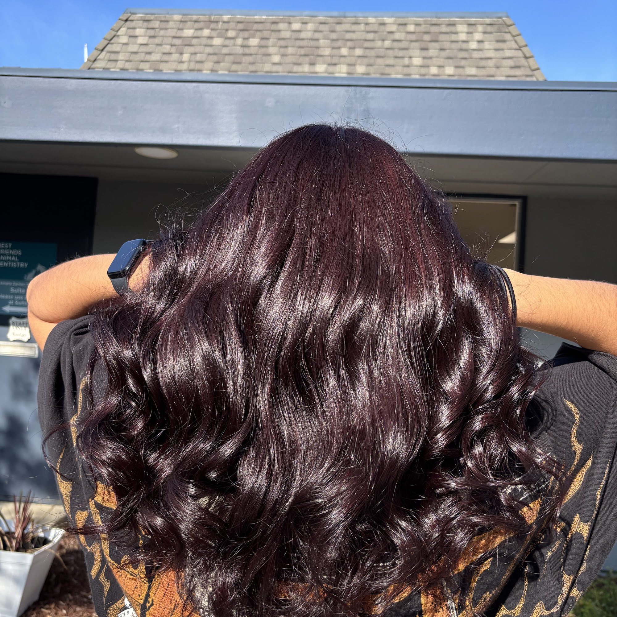 Style Me Tina 6110 Camino Verde Dr #8, San Jose California 95119