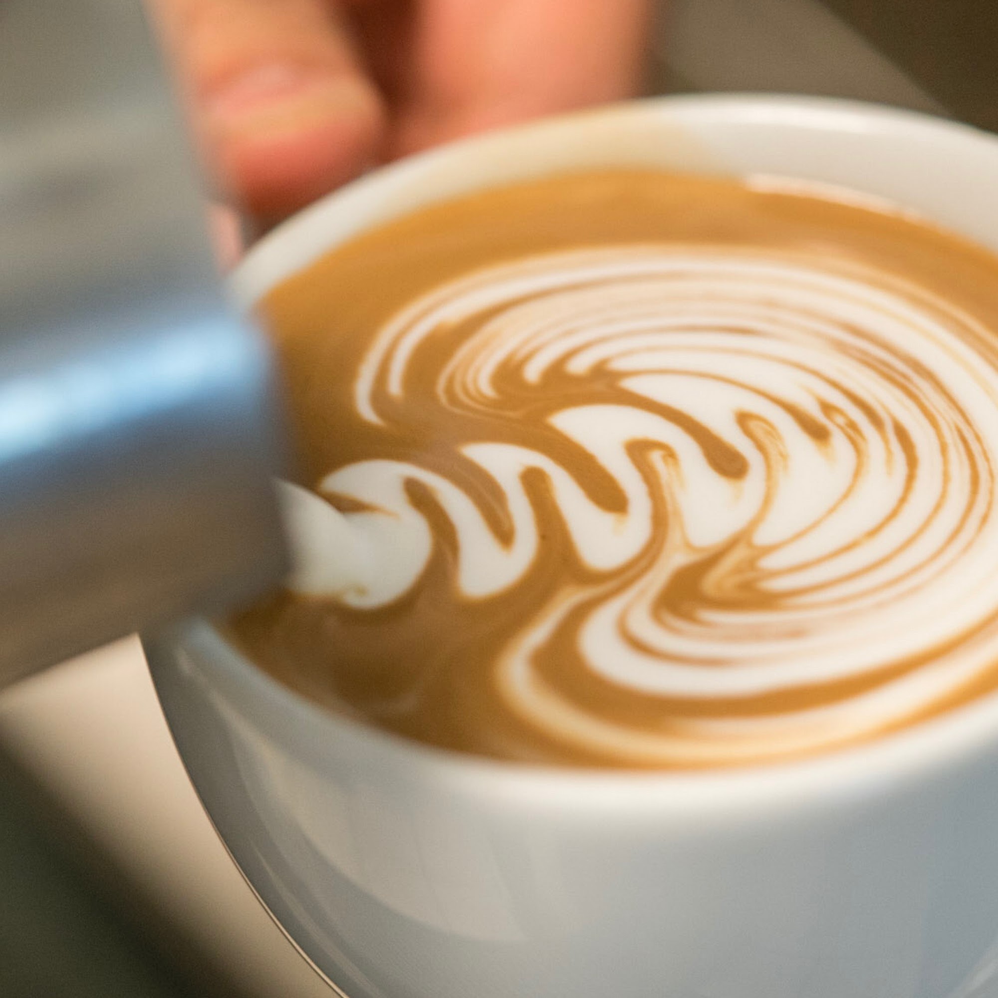 Vertigo Coffee Roasters San Juan Bautista