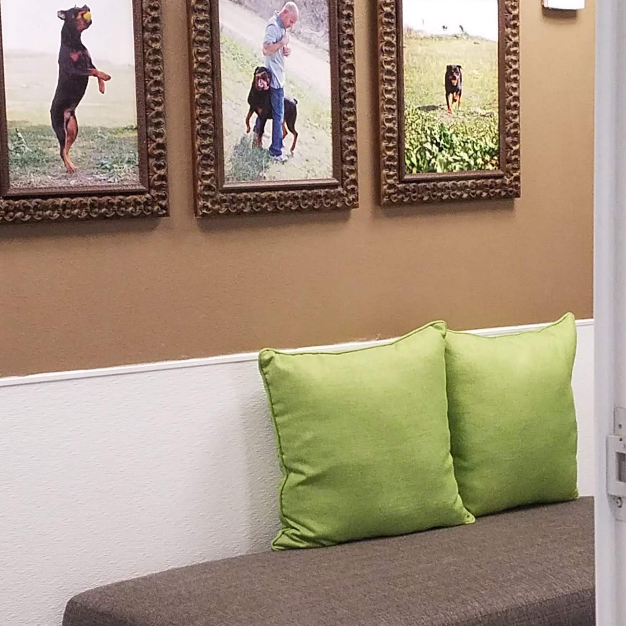 K9 City Play 'n Stay San Juan Capistrano