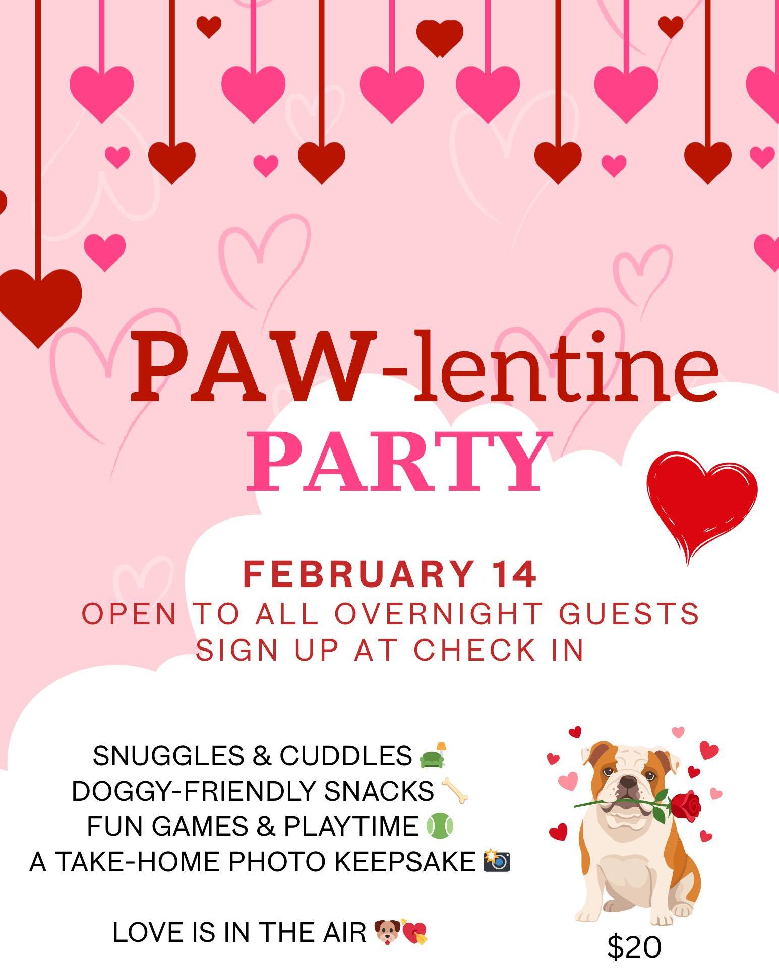 K9 City San Juan Capistrano