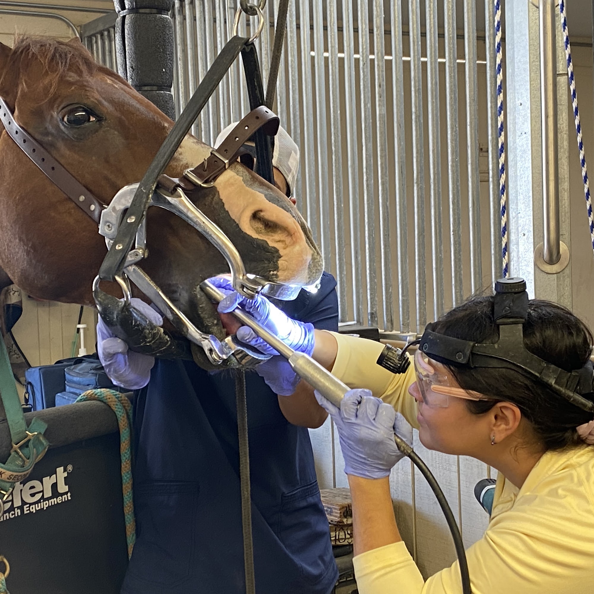 Mission Equine Hospital San Juan Capistrano