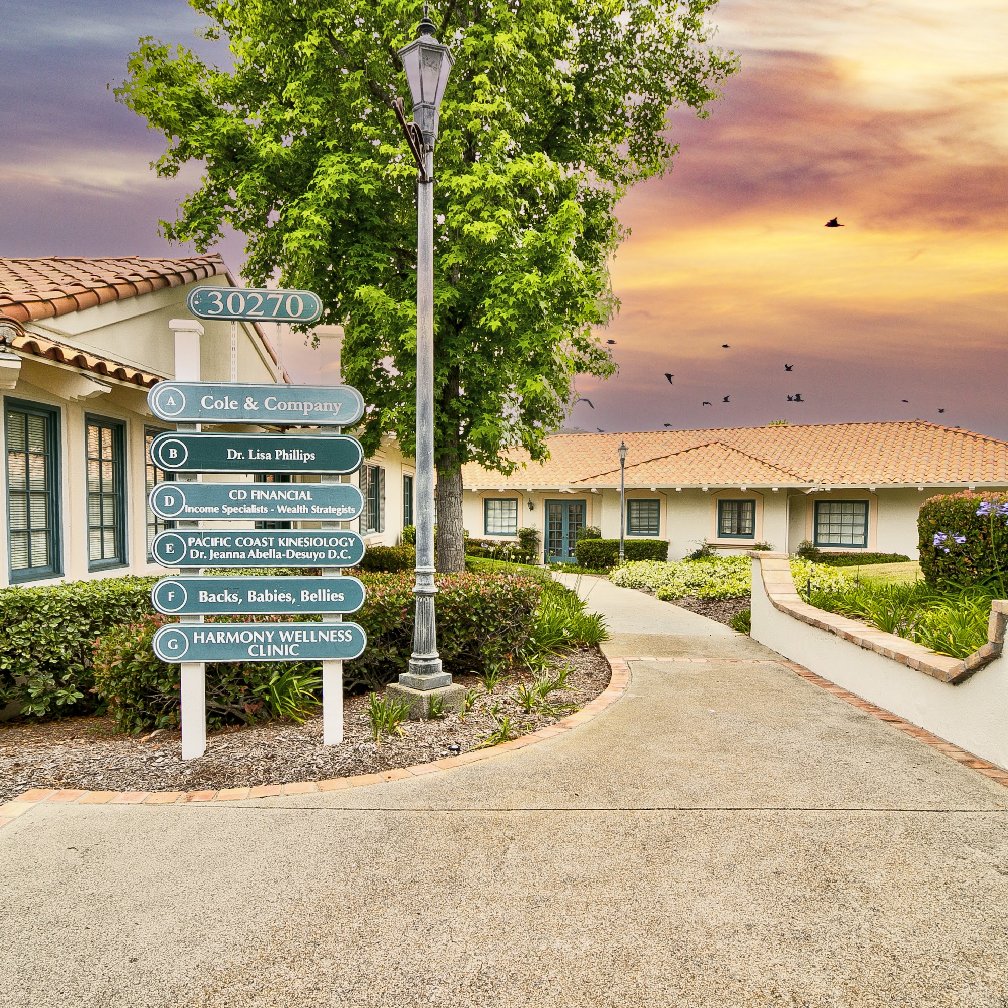 Pacific Coast Kinesiology Center 30270 Rancho Viejo Rd # E, San Juan Capistrano California 92675