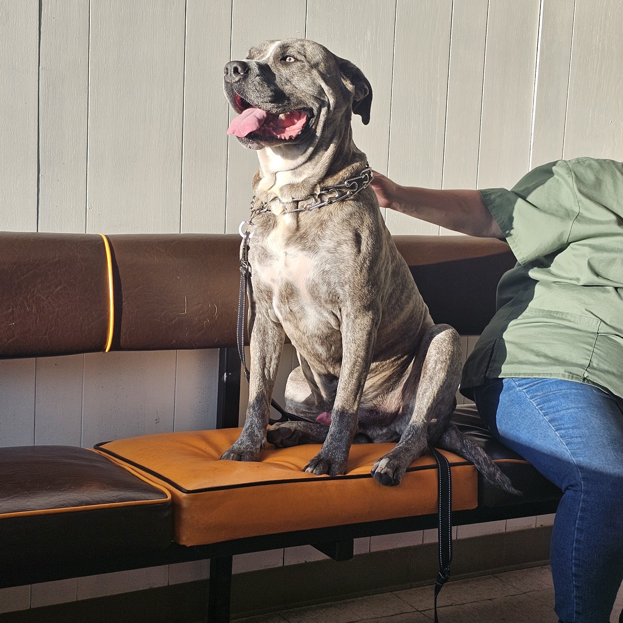 San Lorenzo Veterinary Hospital San Lorenzo