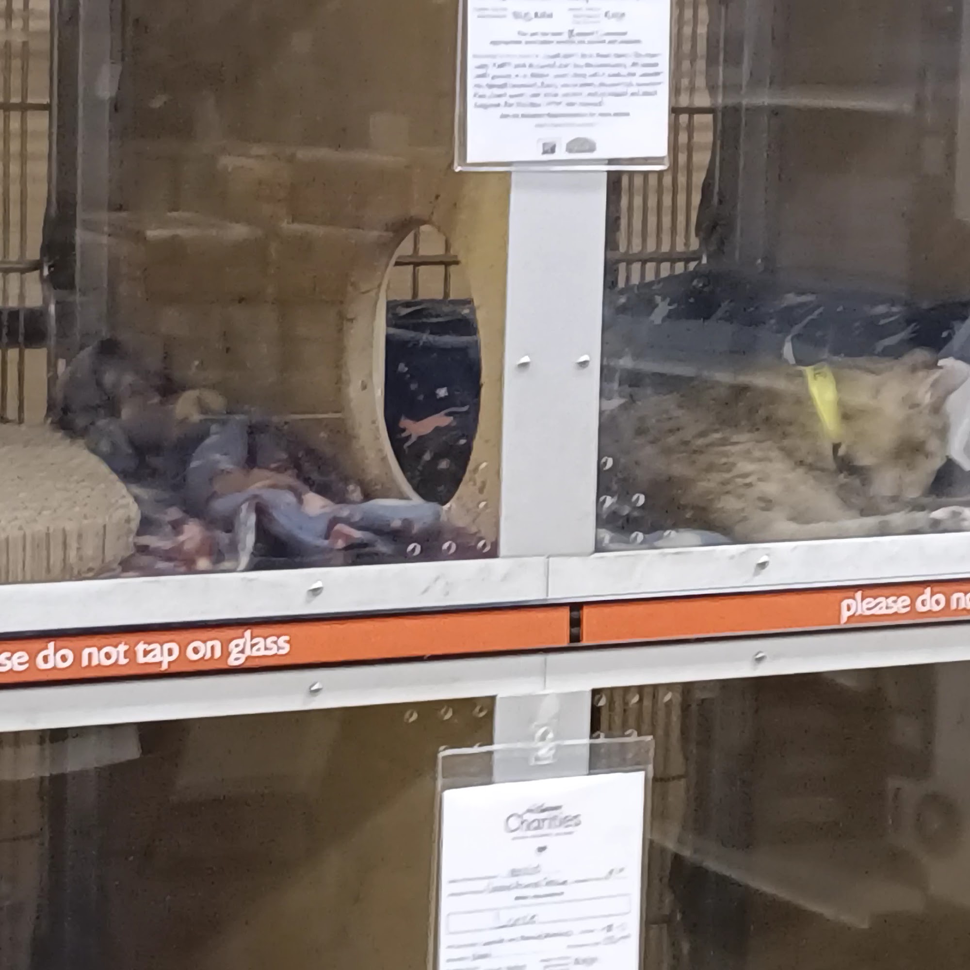 PetSmart San Luis Obispo