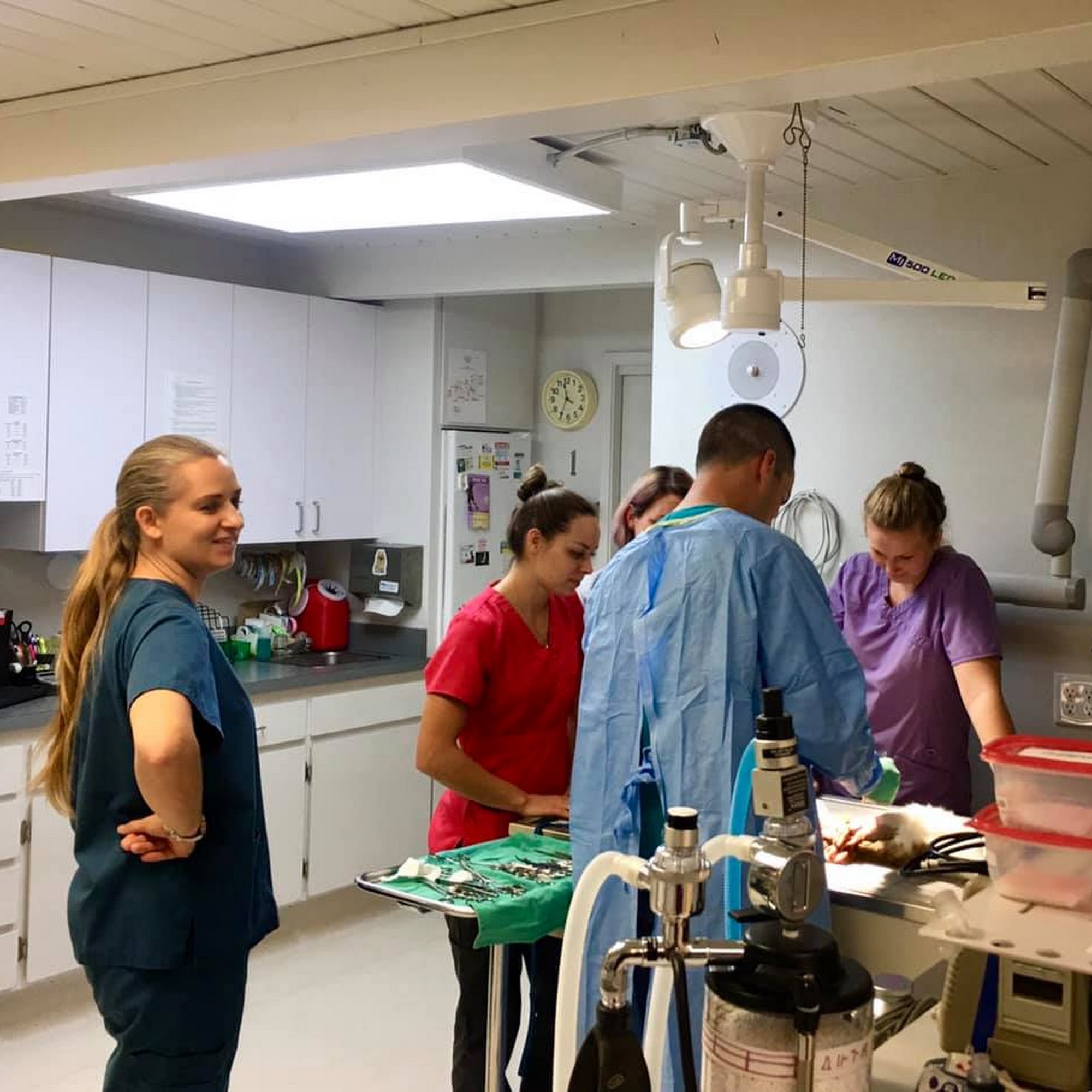 Animal Hospital of San Luis Obispo San Luis Obispo