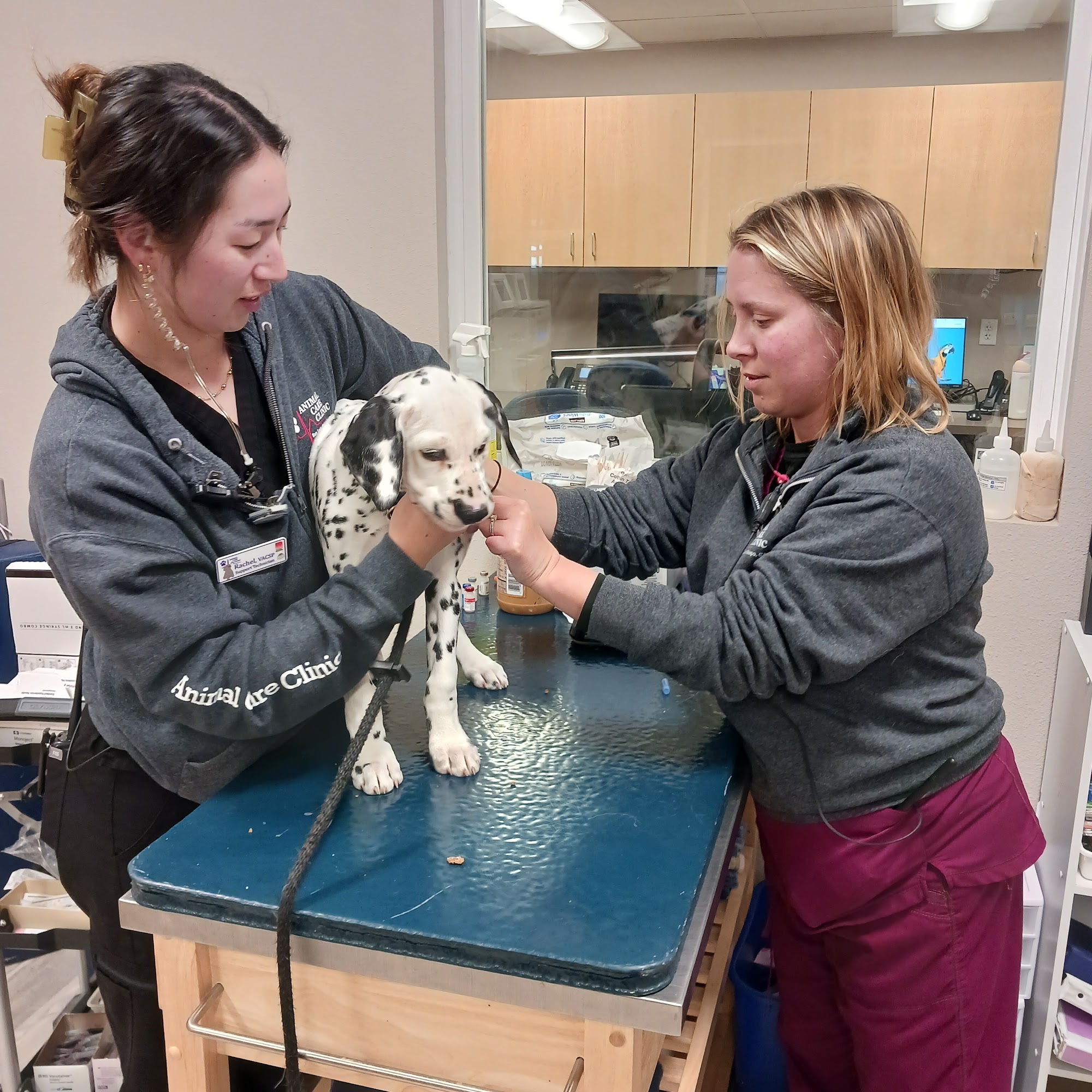 Animal Care Clinic SLO San Luis Obispo