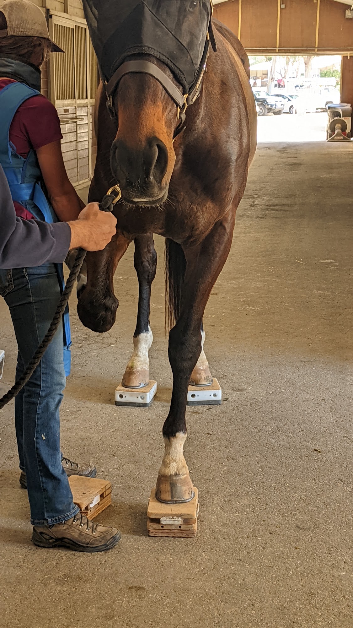 Edna Valley Veterinary Clinic San Luis Obispo