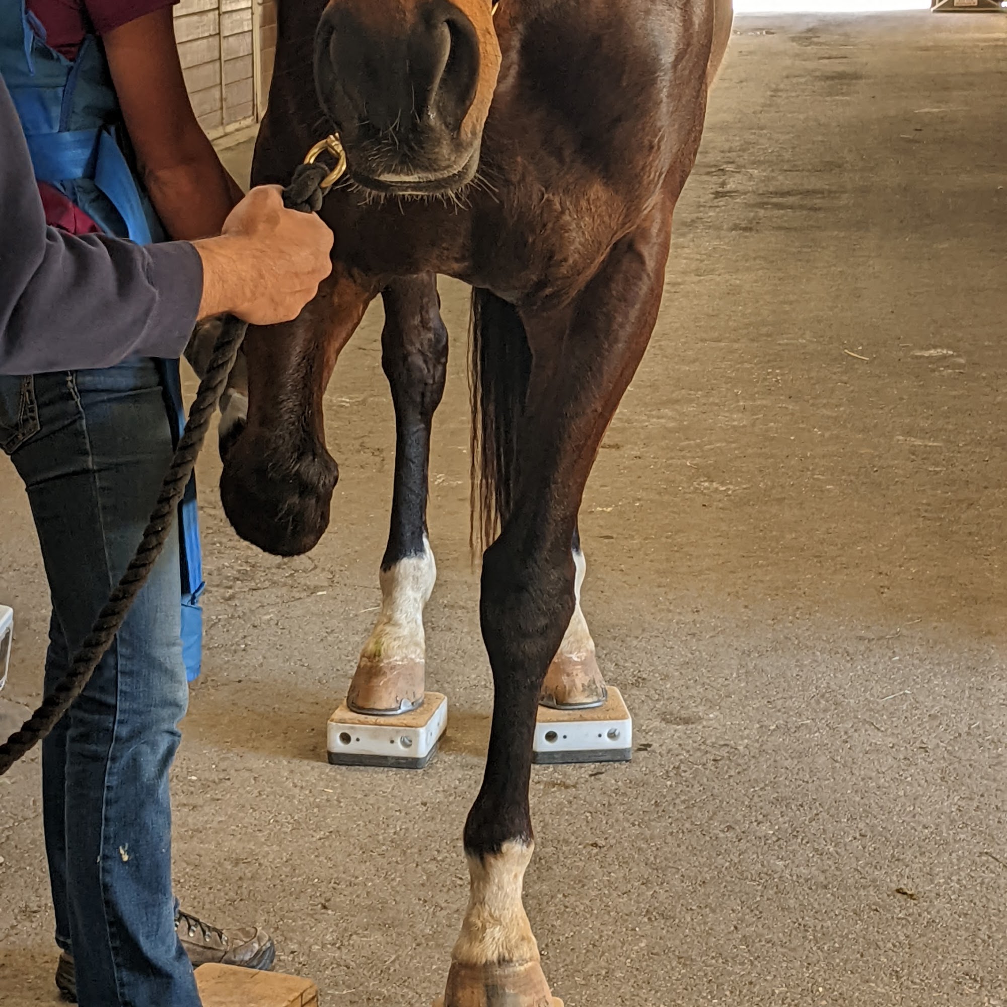 Edna Valley Veterinary Clinic San Luis Obispo