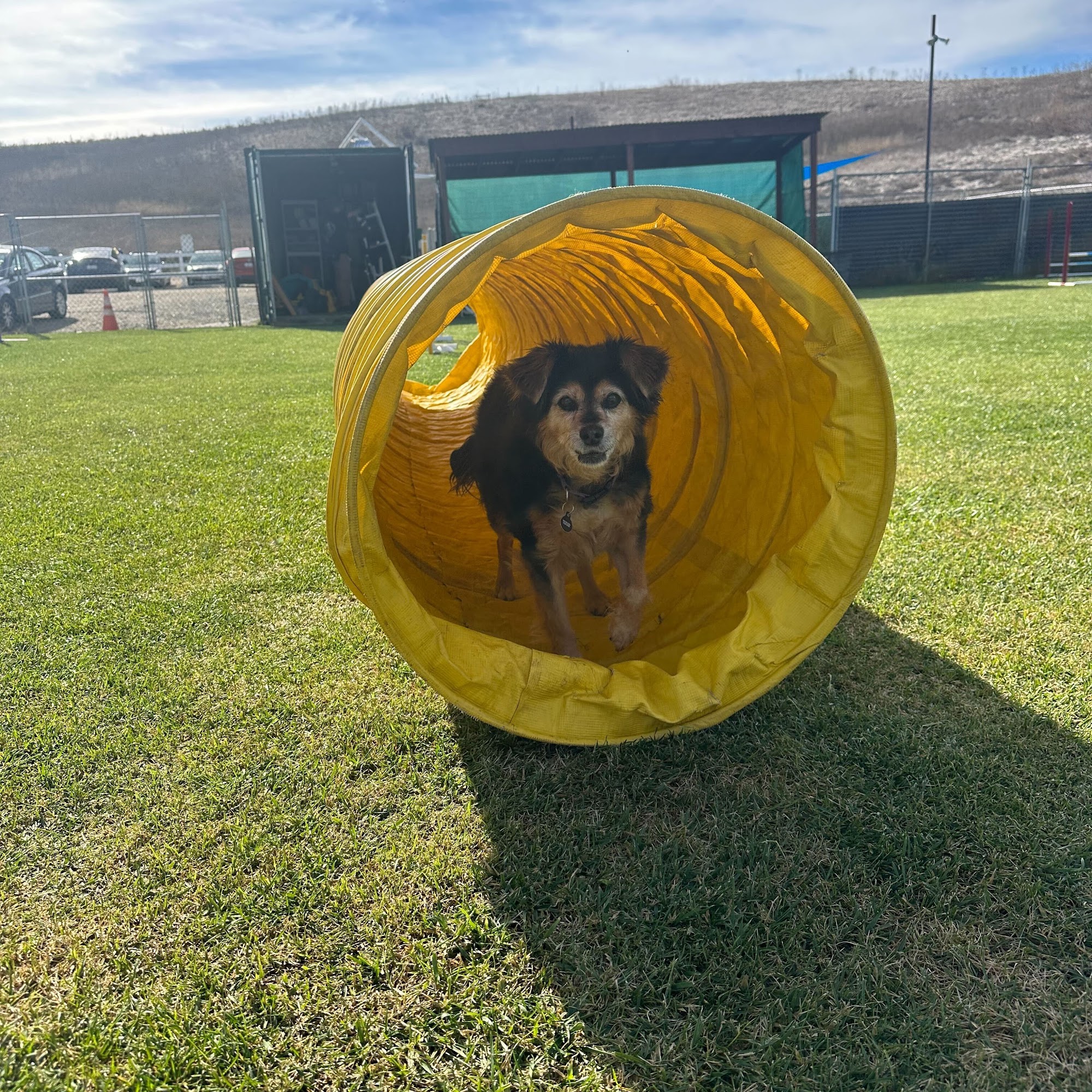 Gentle Touch Pet Training San Luis Obispo