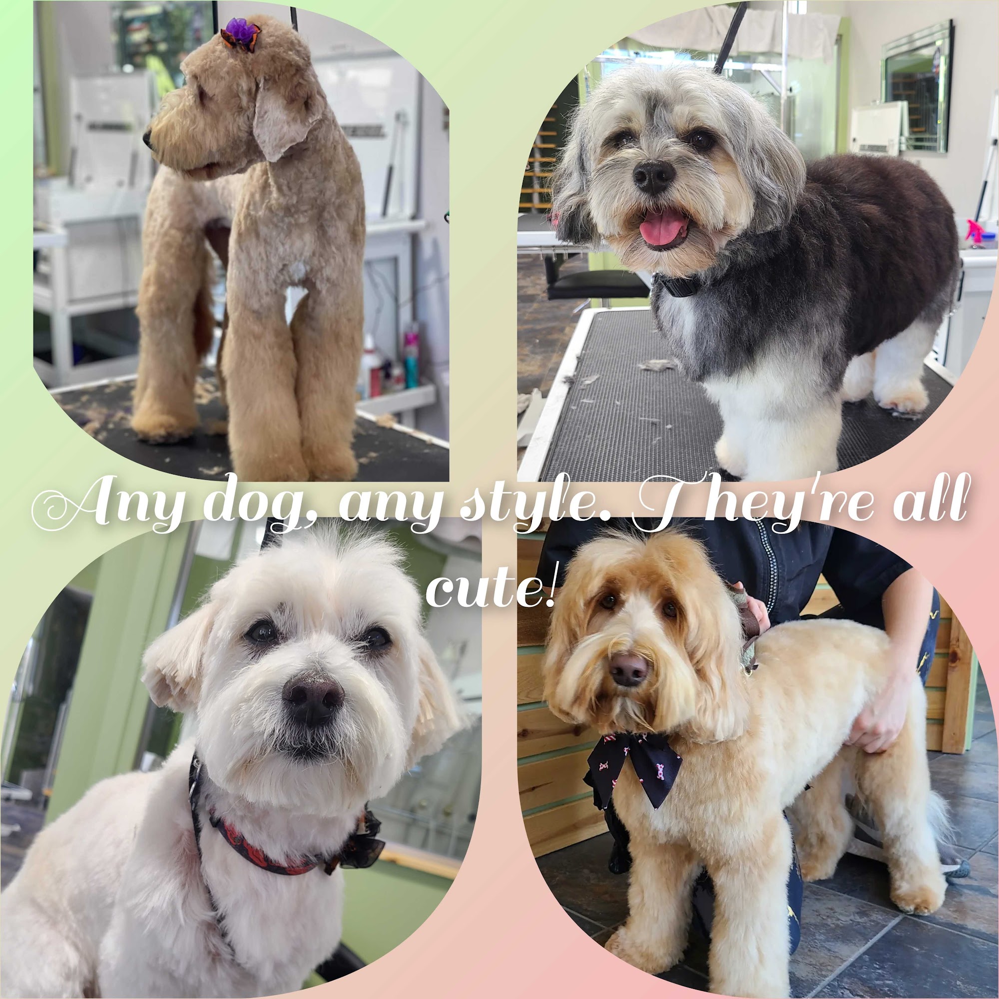 PuppyCuts Too San Luis Obispo