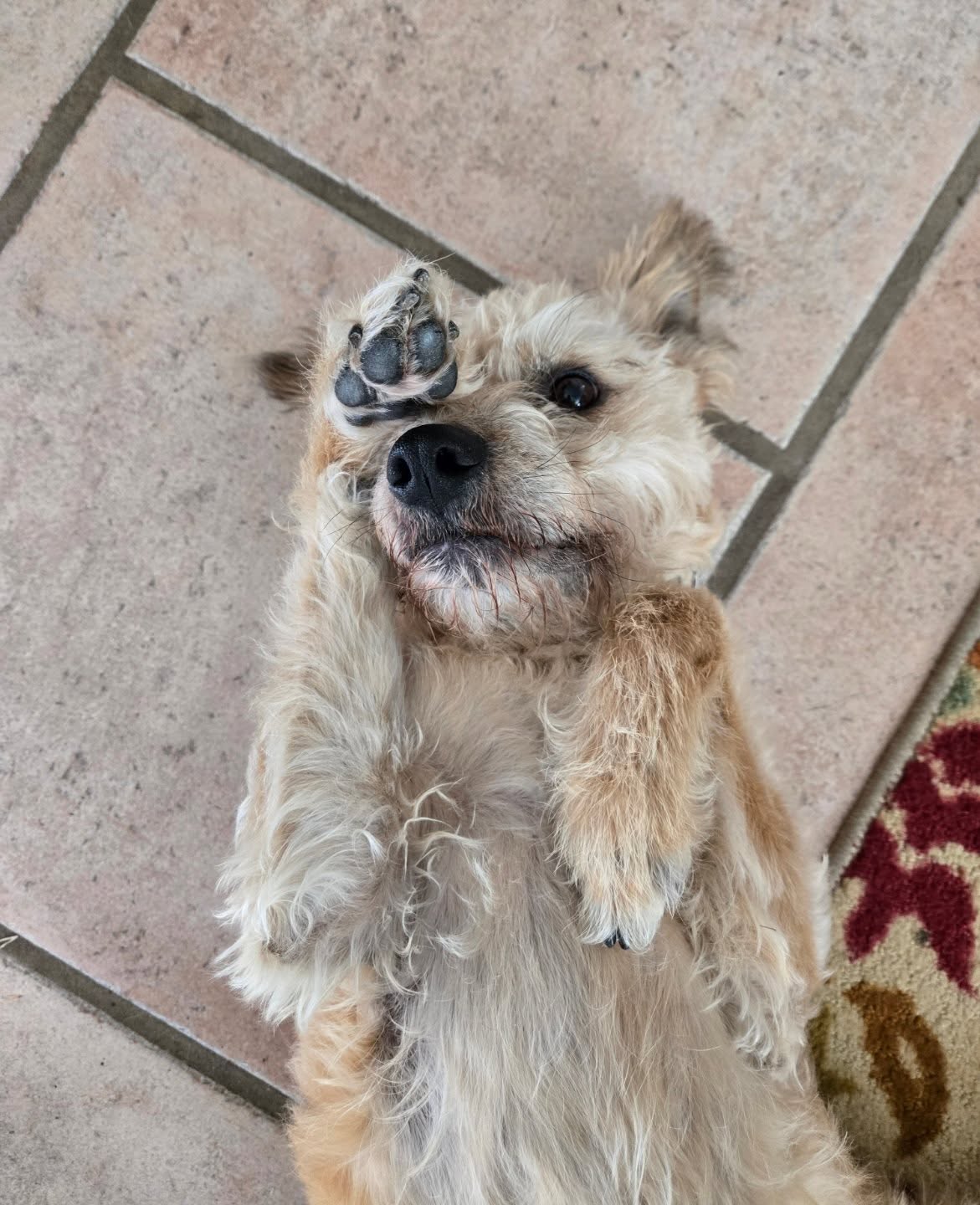 North County Wine Company San Marcos