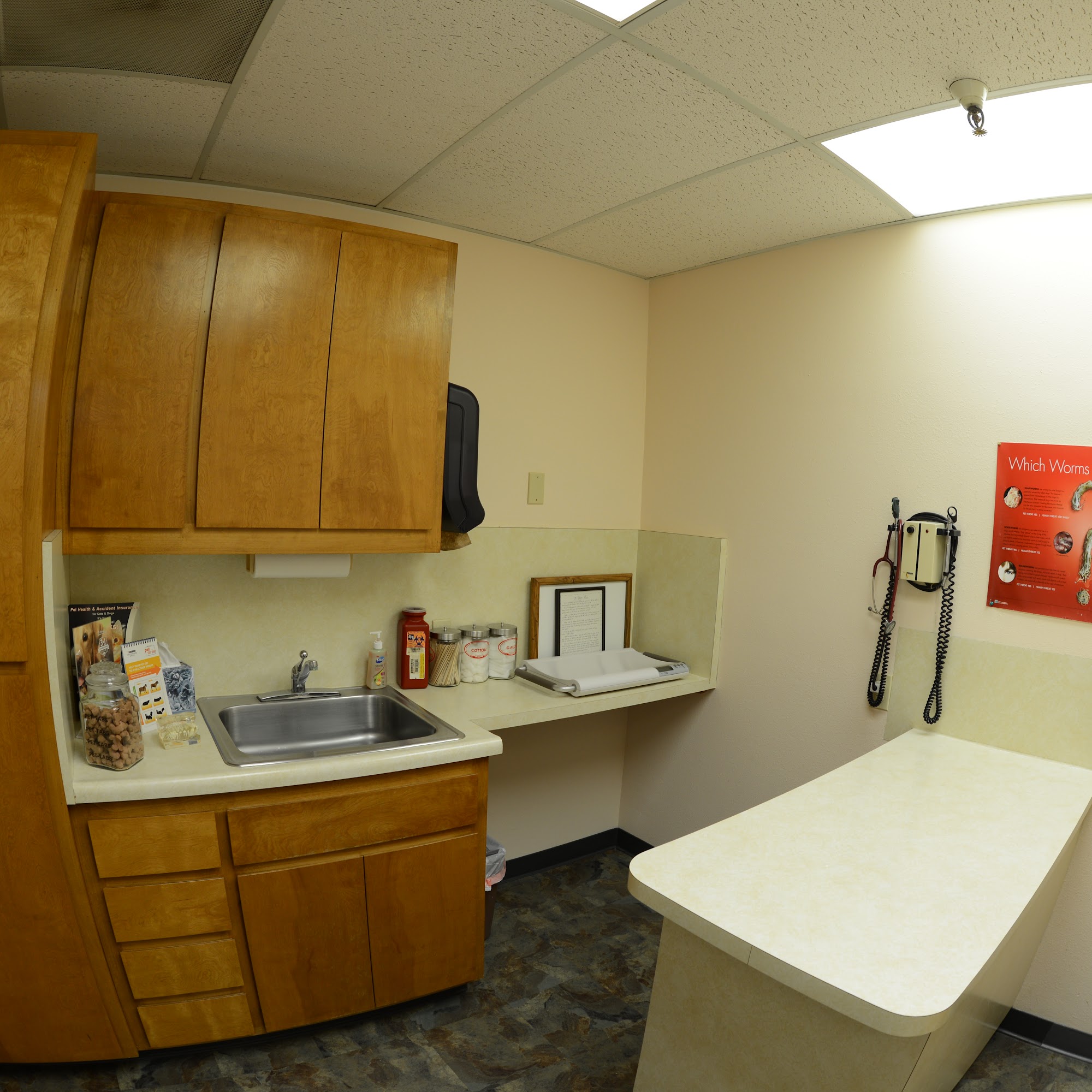 San Marcos Veterinary Clinic San Marcos