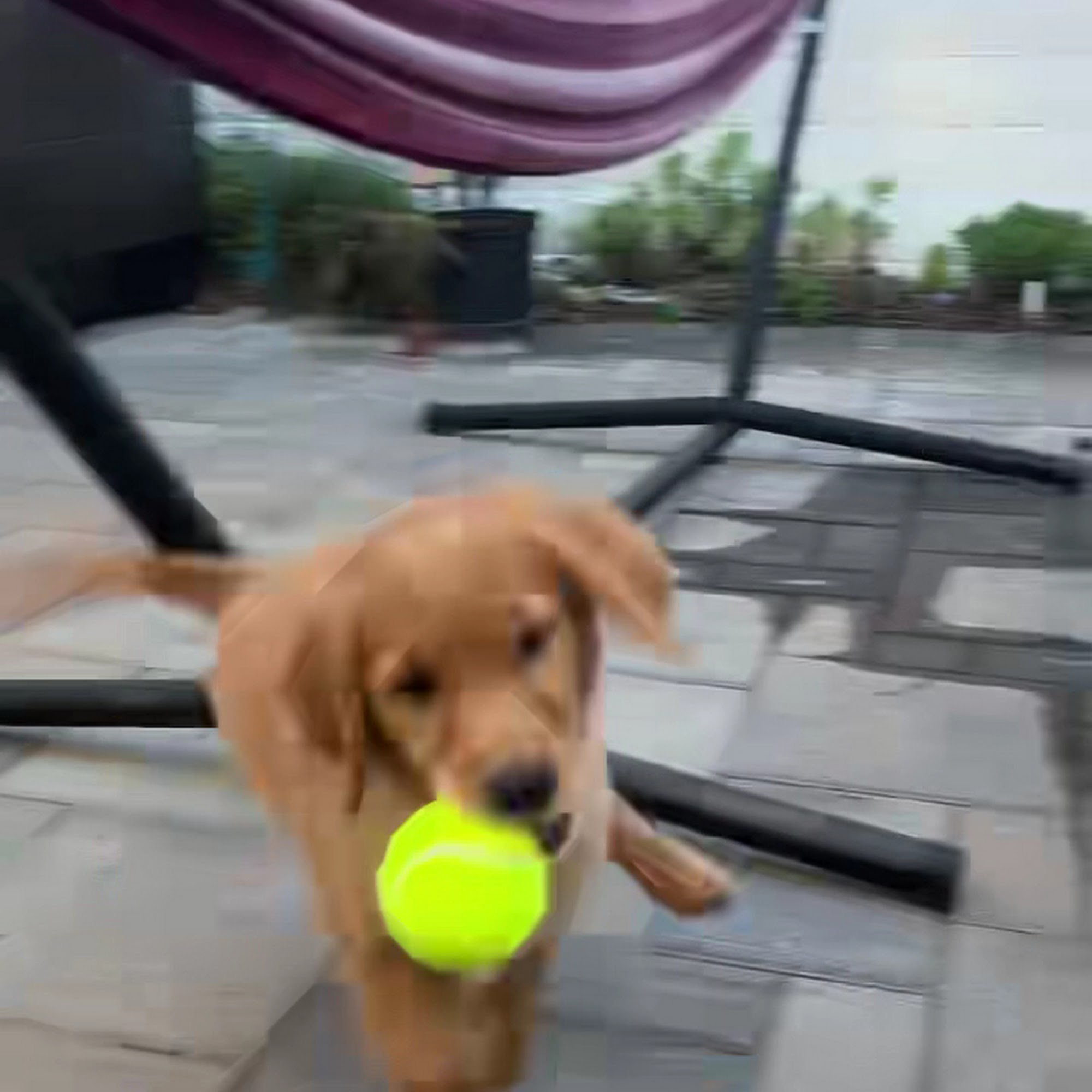 Discovery Valley Animal Hospital San Marcos