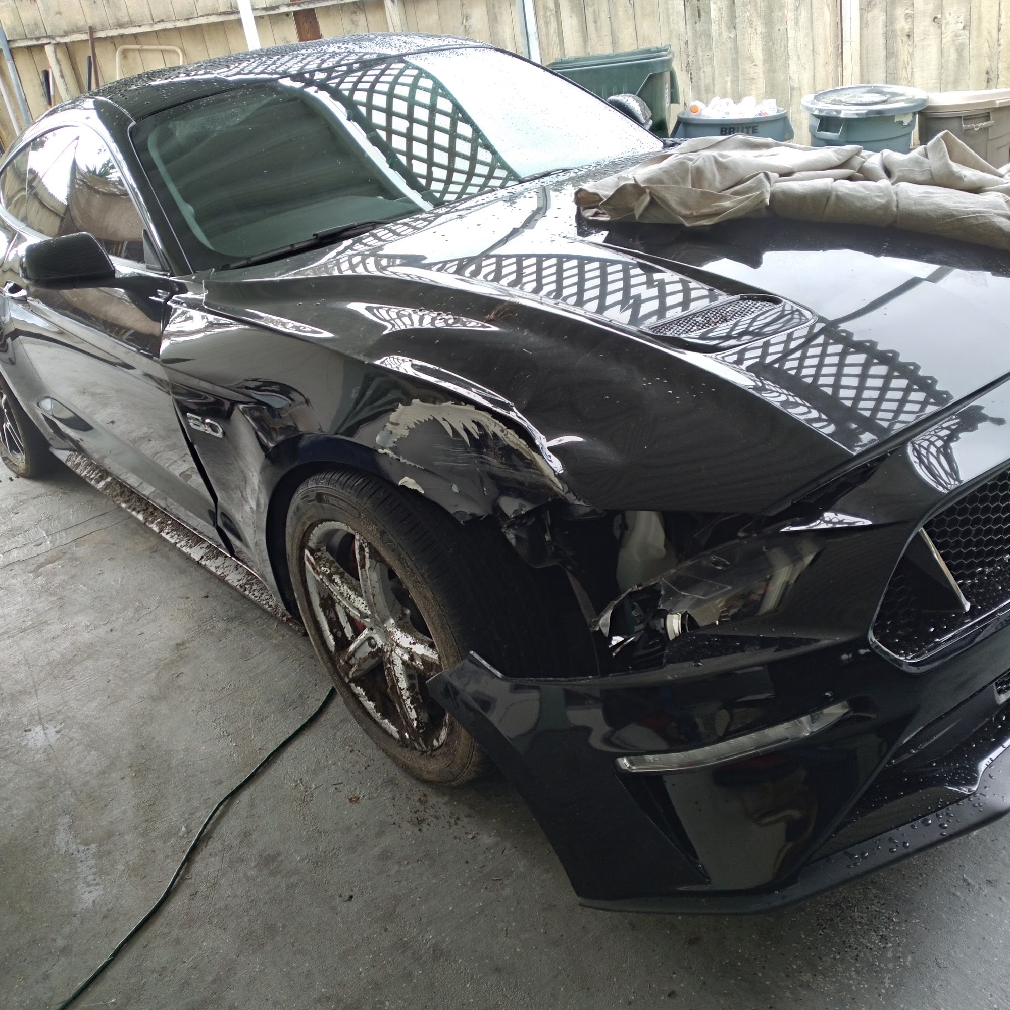 San Dieguito Equine Group San Marcos