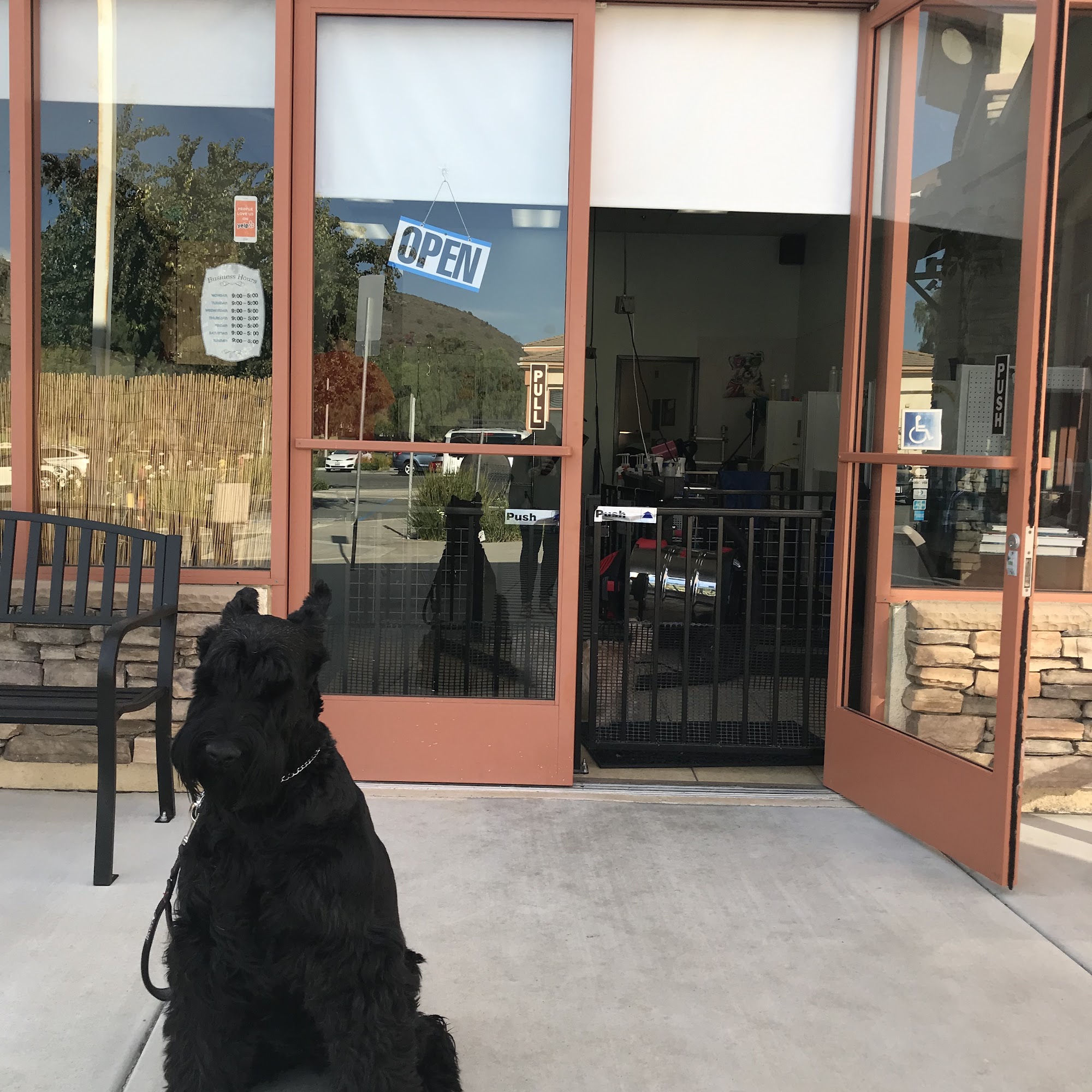 Meadows Pet Care San Marcos