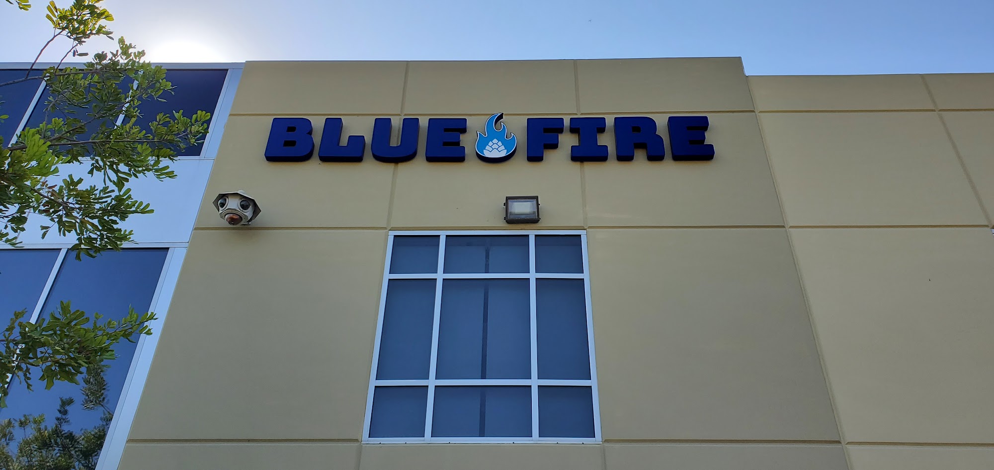 Blue Fire Brewing San Marcos