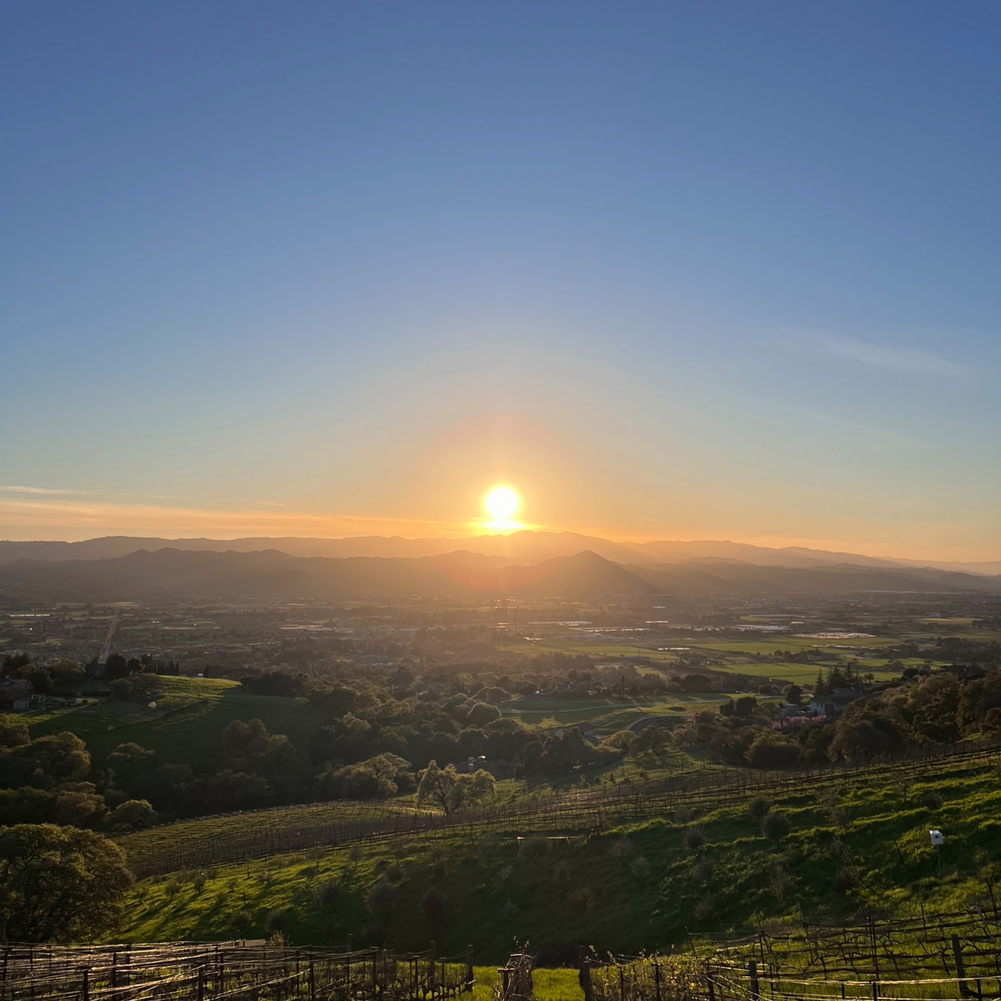 Moose Mountain Vineyards San Martin