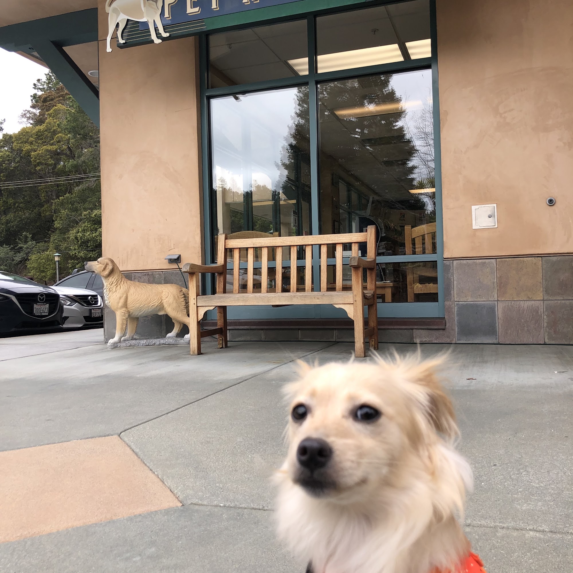 Crystal Springs Pet Hospital San Mateo