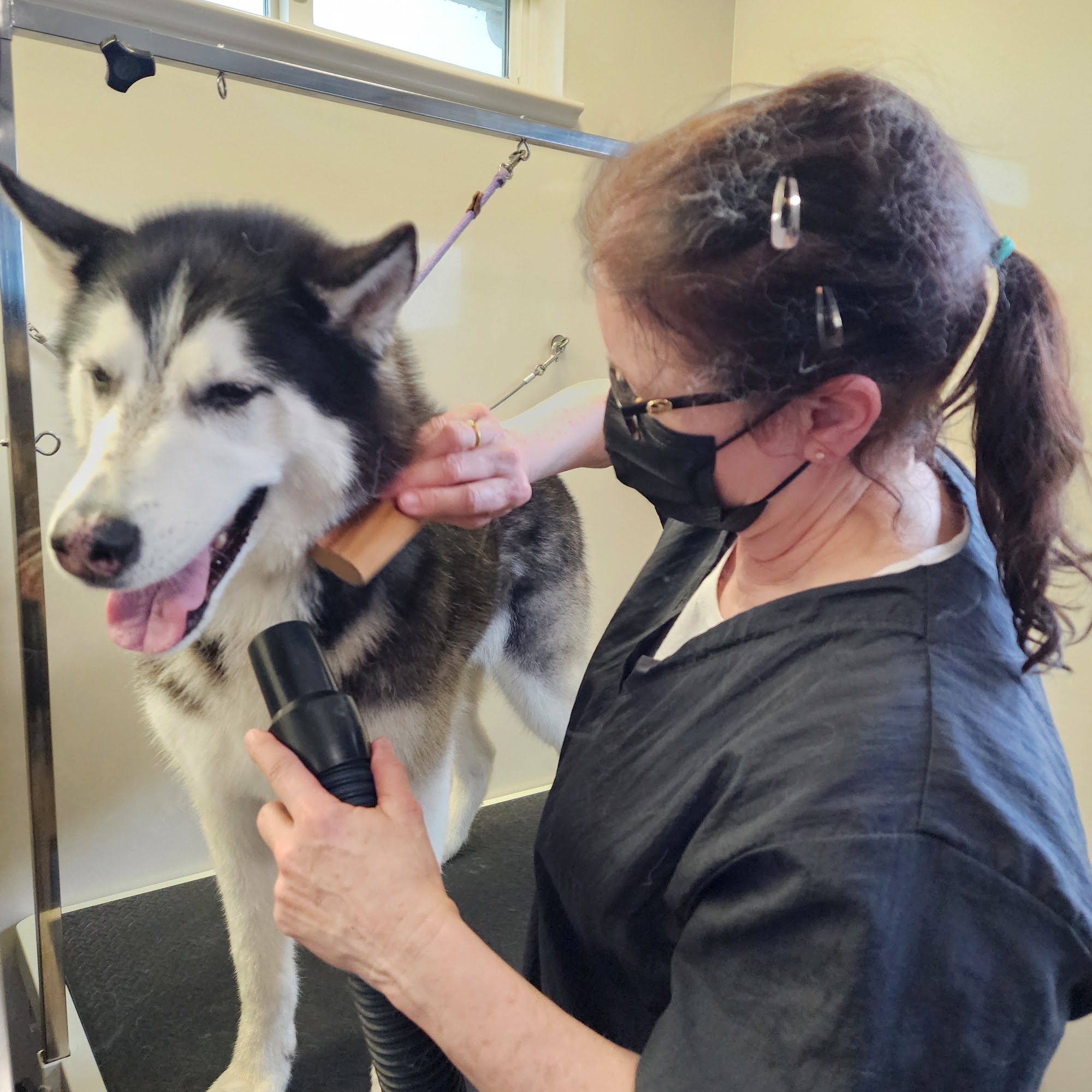 Cathy's Clean Dogs San Mateo