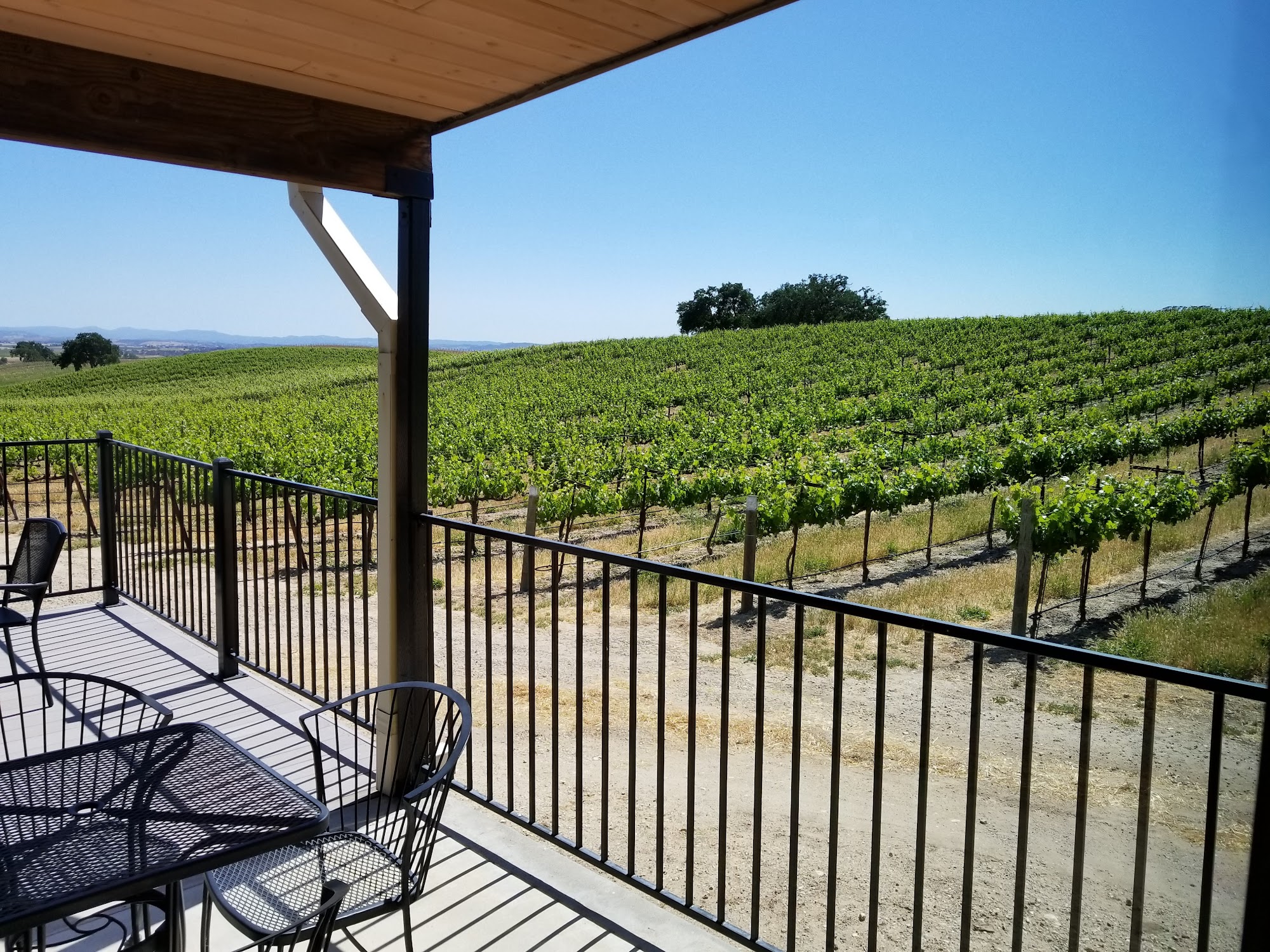 High Camp Wines San Miguel