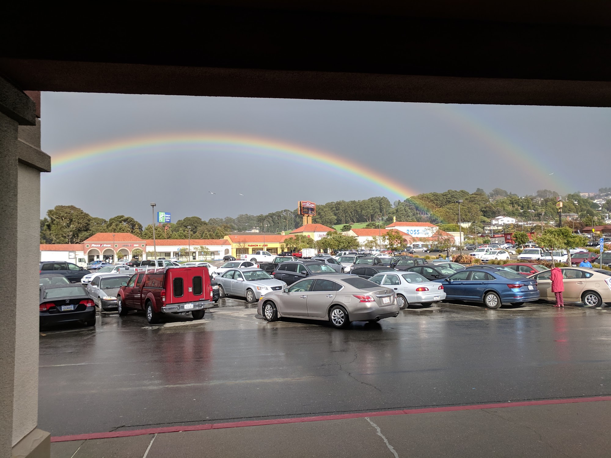 Evergreen Pet Clinic San Pablo