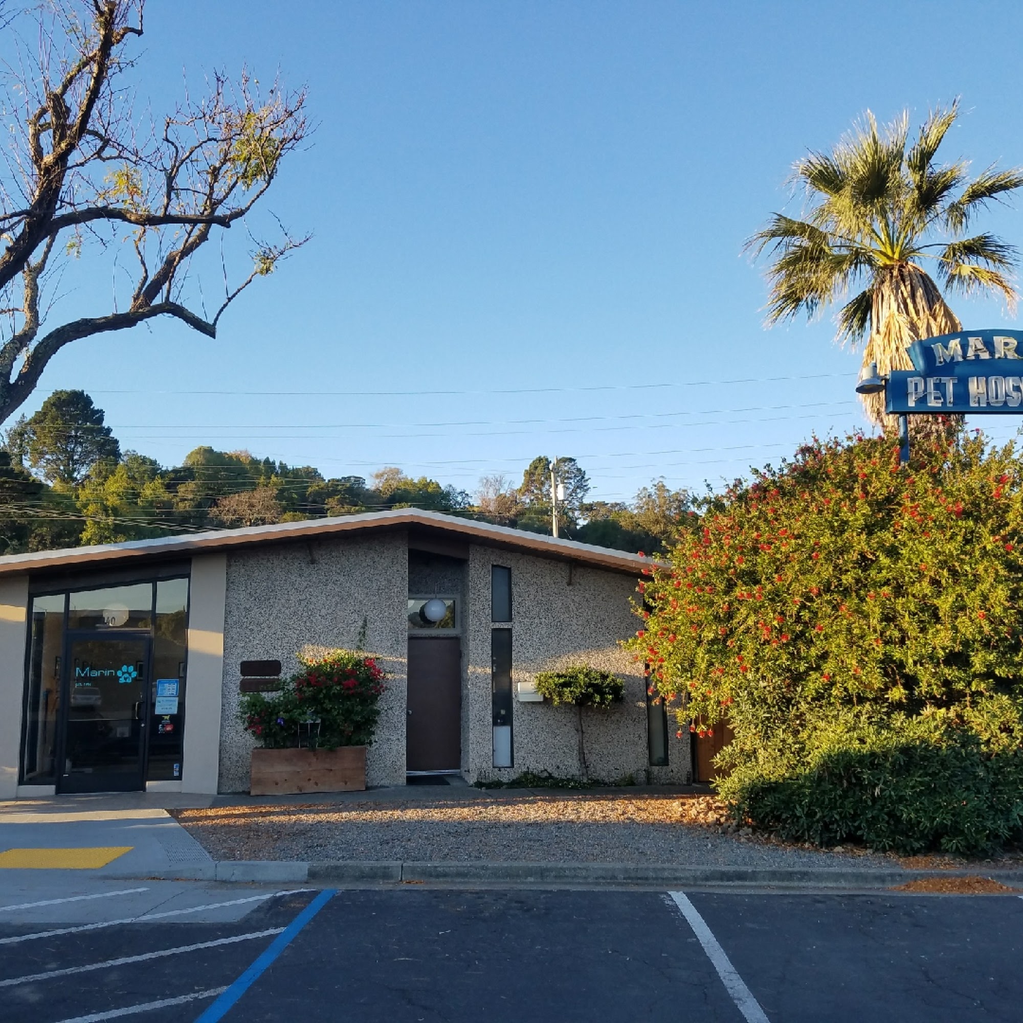 Marin Pet Hospital San Rafael