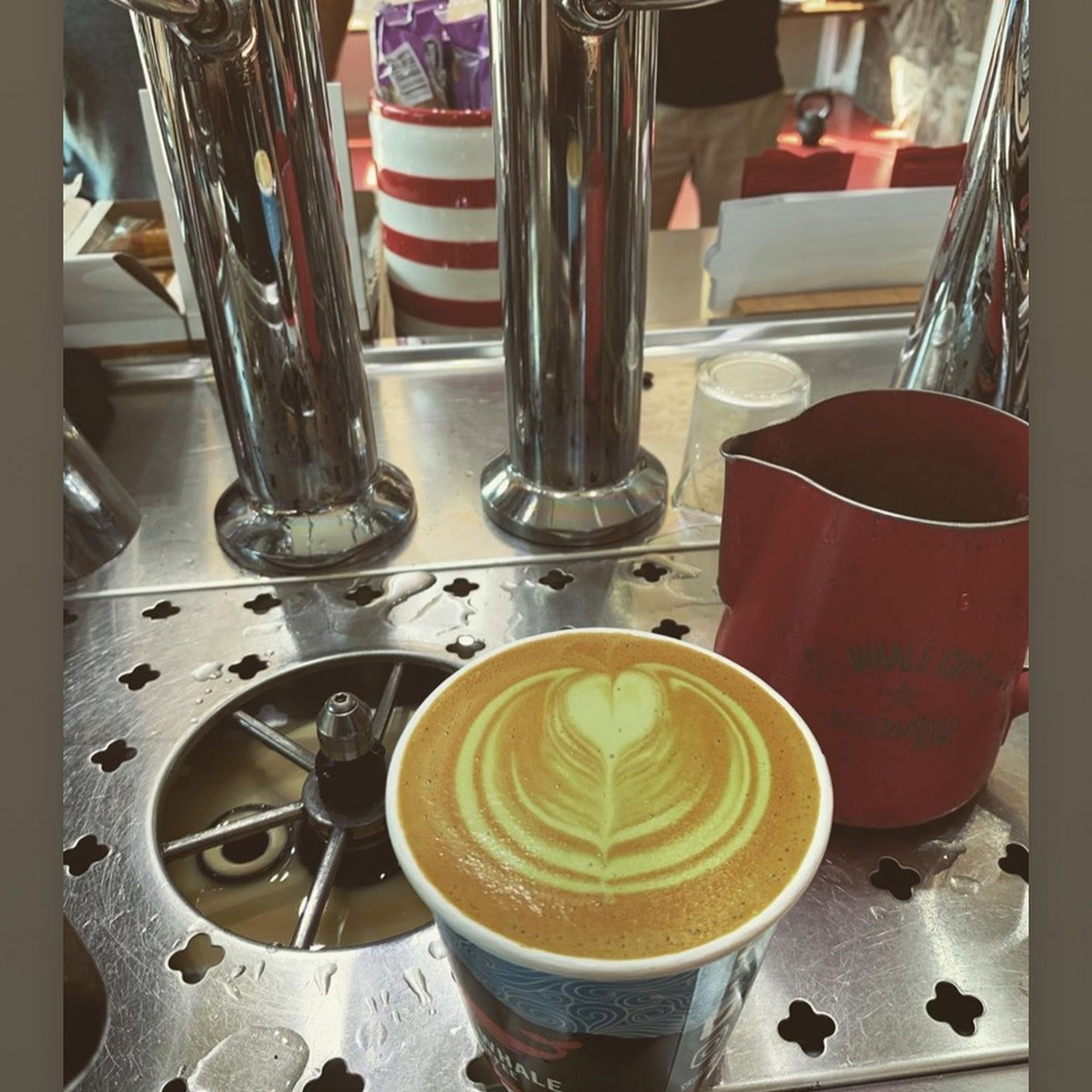 Red Whale Coffee San Rafael