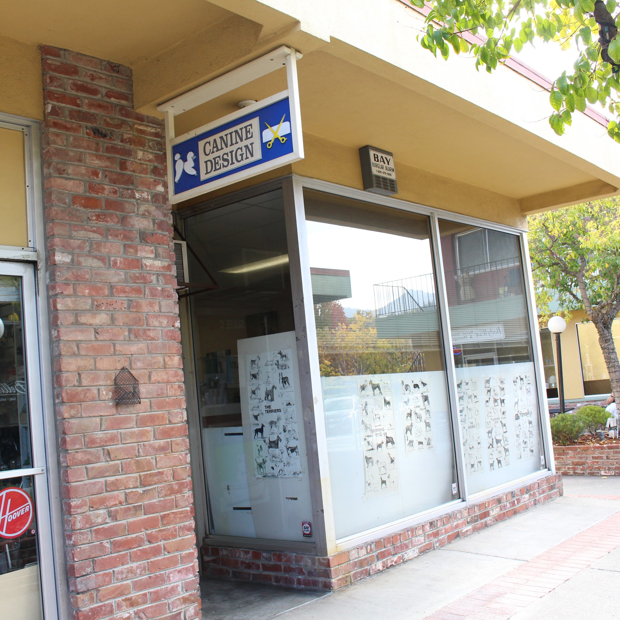 Canine Design by Gadi San Rafael