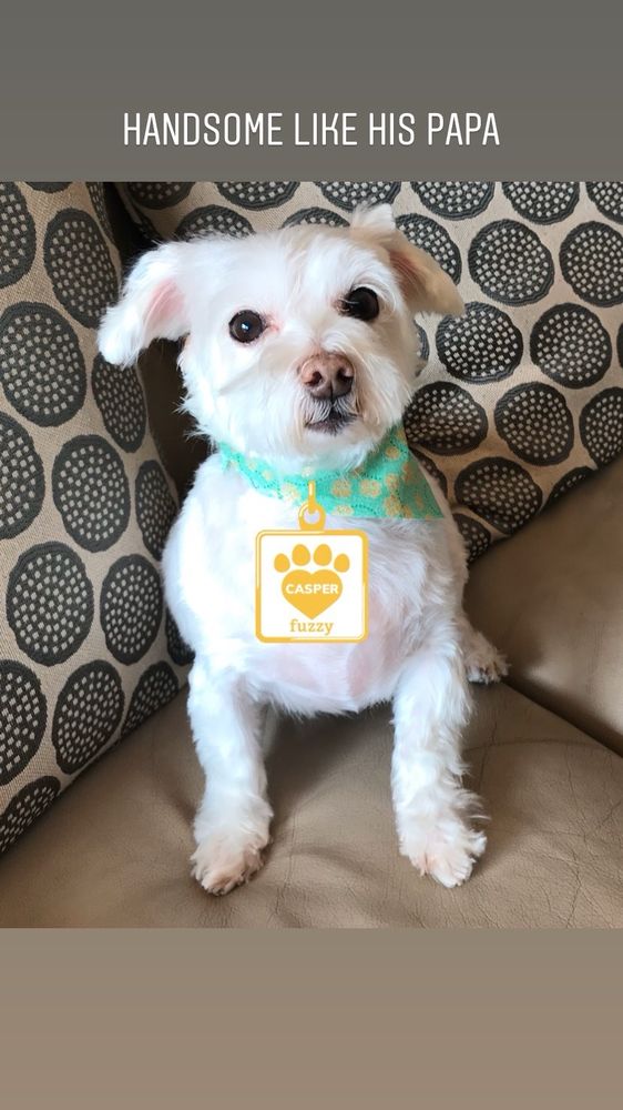 Bishop Ranch Veterinary Center: Utchen Franklin DVM San Ramon