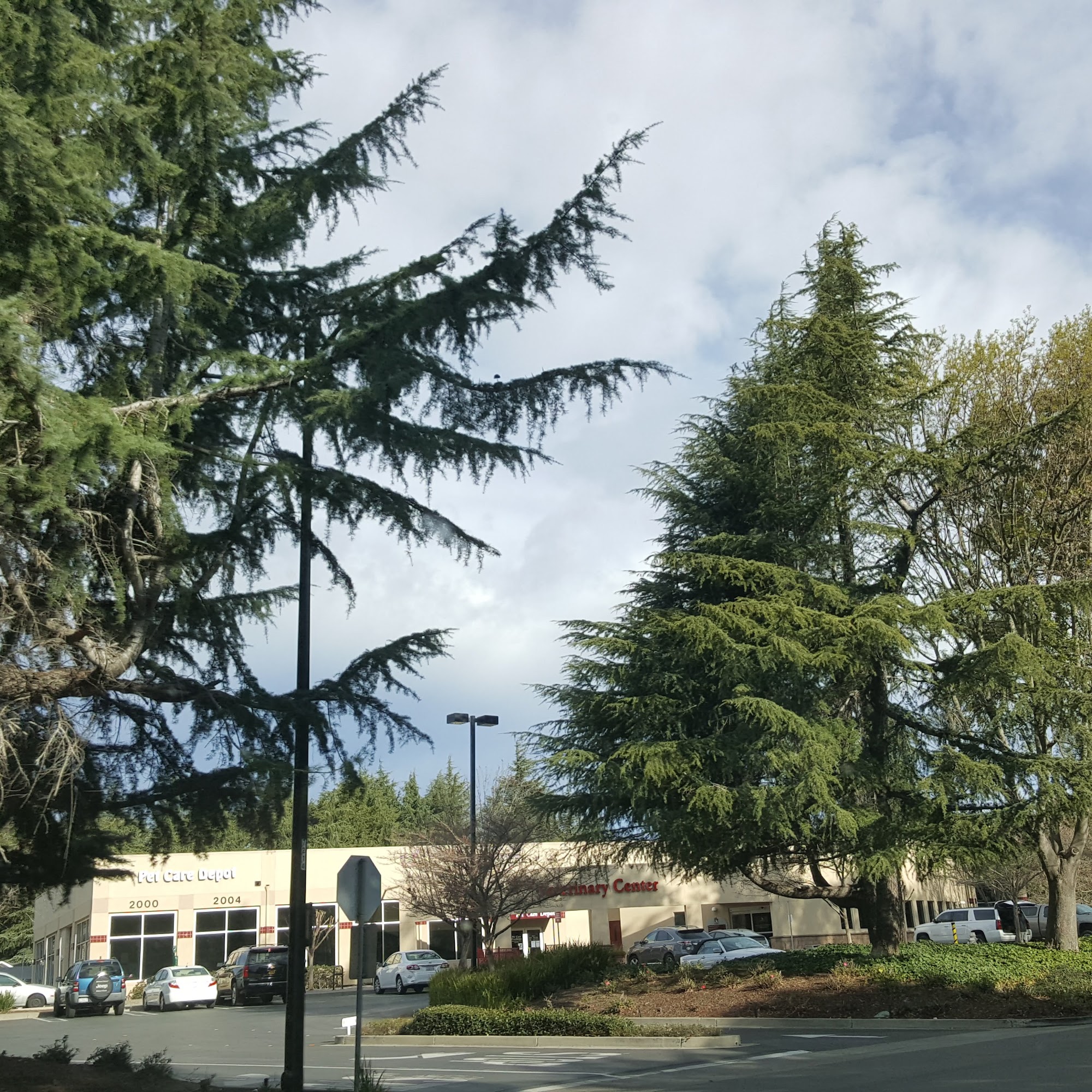 Bishop Ranch Veterinary Center: Dodd Michele DVM San Ramon