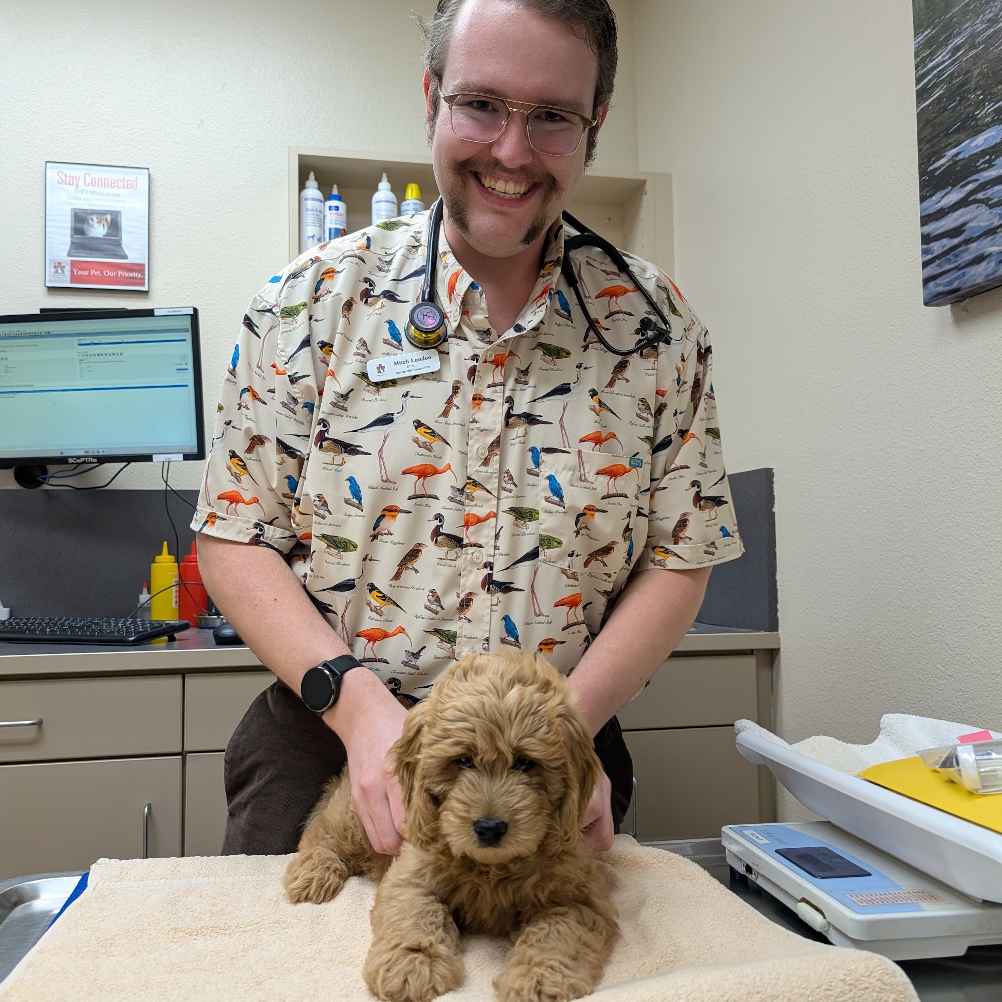 Bishop Ranch Veterinary Center: Weaver Kristel DVM San Ramon