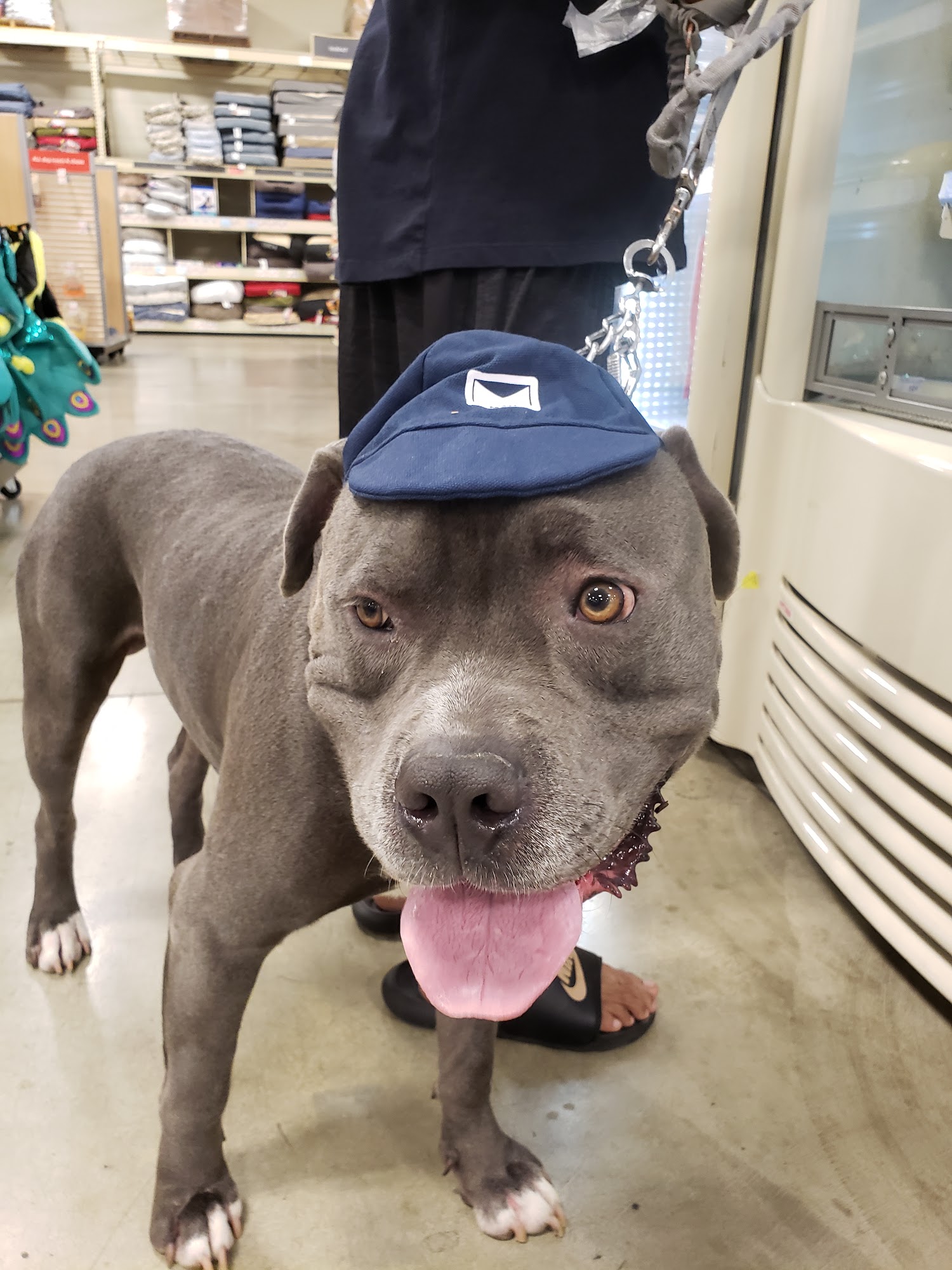 Banfield Pet Hospital Santa Ana