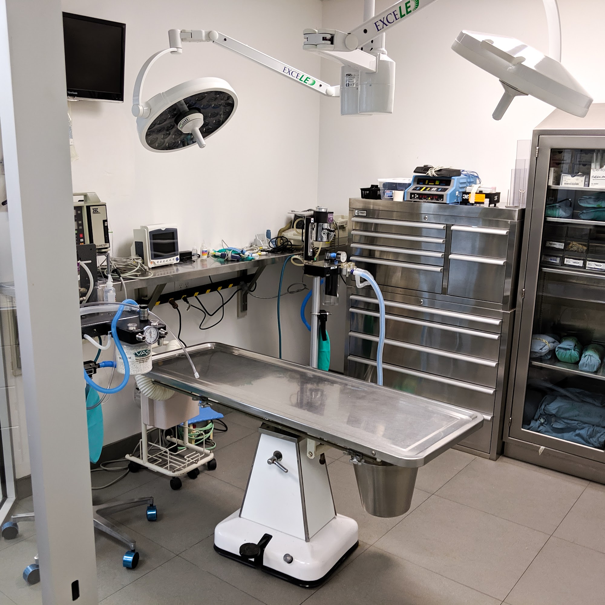 Alona Animal Hospital Santa Ana