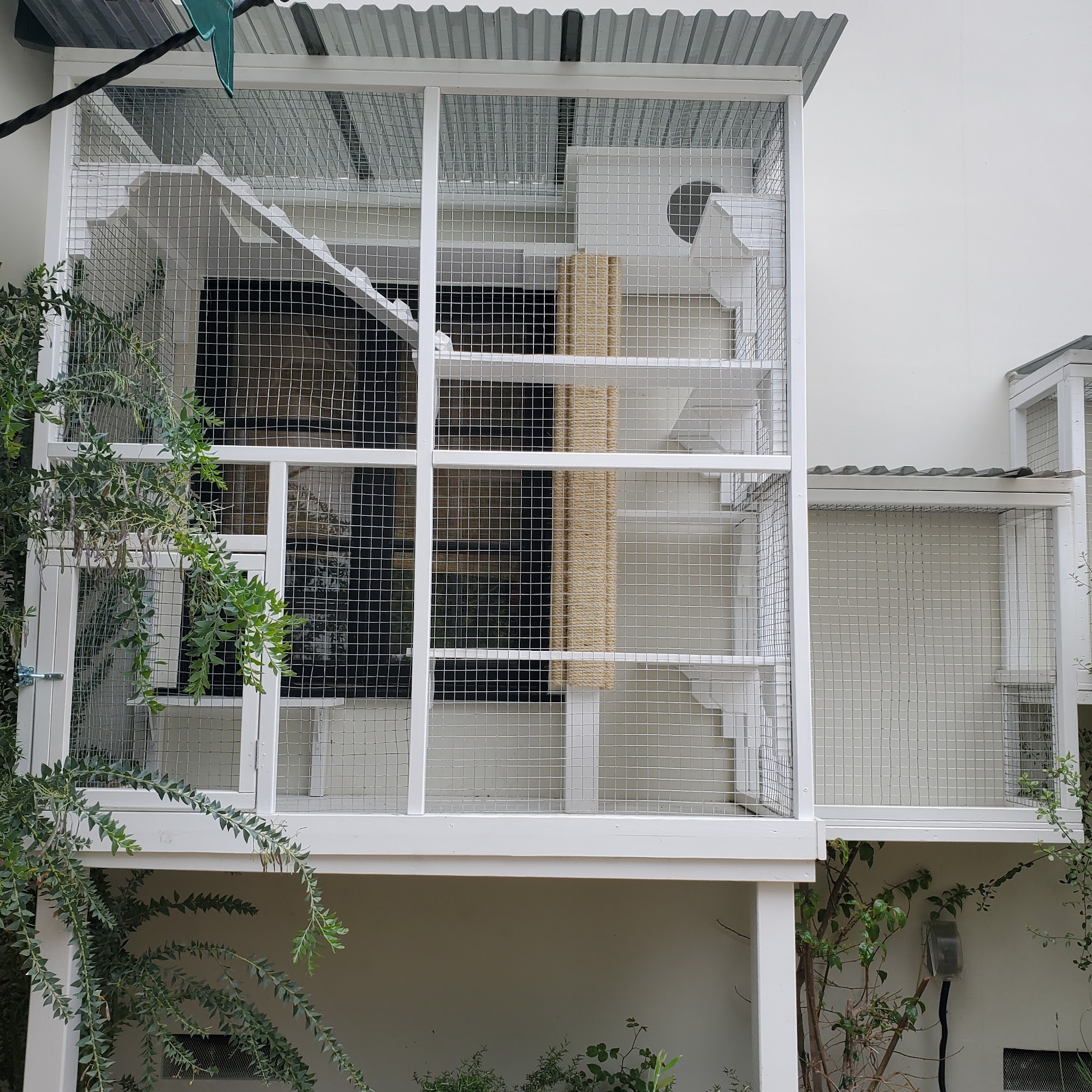 Petzones 2 Santa Ana